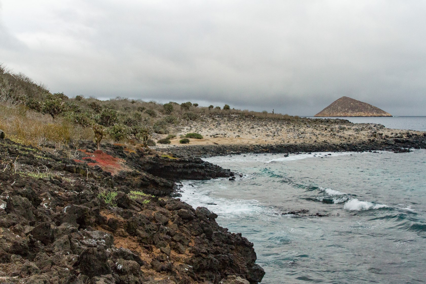 Island Conservation Floreana Galapagos 2017 (6)