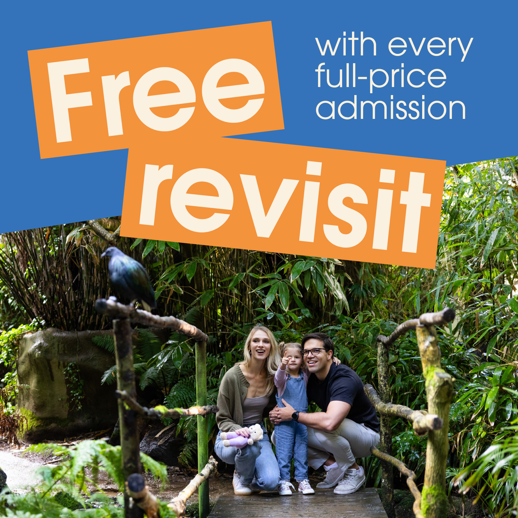 5397 Free Revisit Website Graphics 2000 X 2000 B