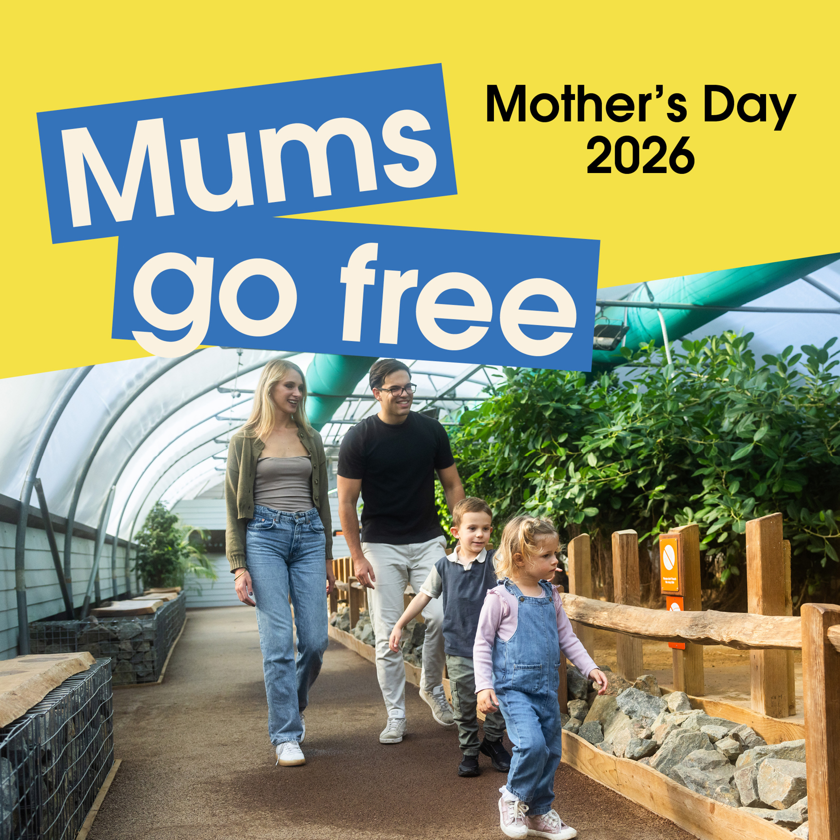 Mothers Day 2026 Offer Website Graphics 2000X2000