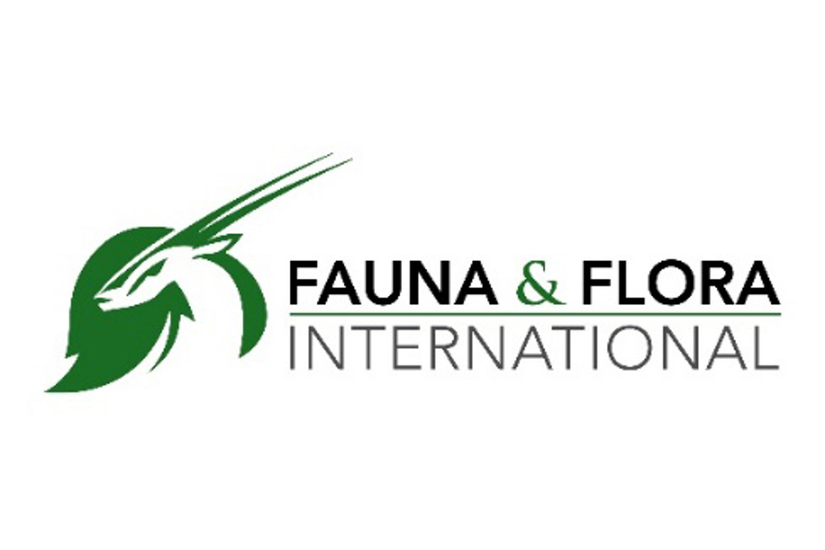 FFI LOGO