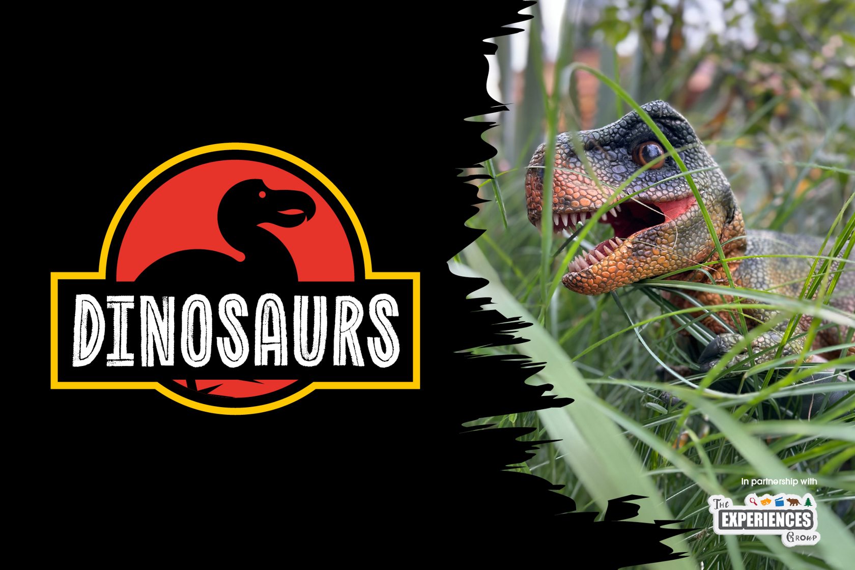 Dinosaurs Website Image 2000X1333 No Text