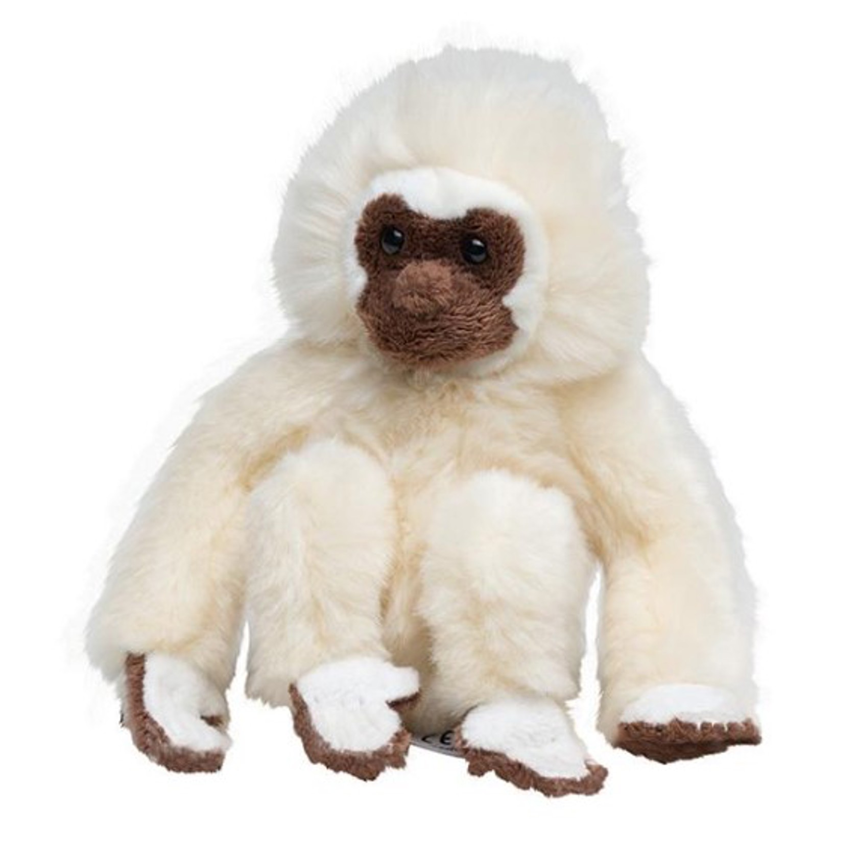 Plan S White Handed Gibbon