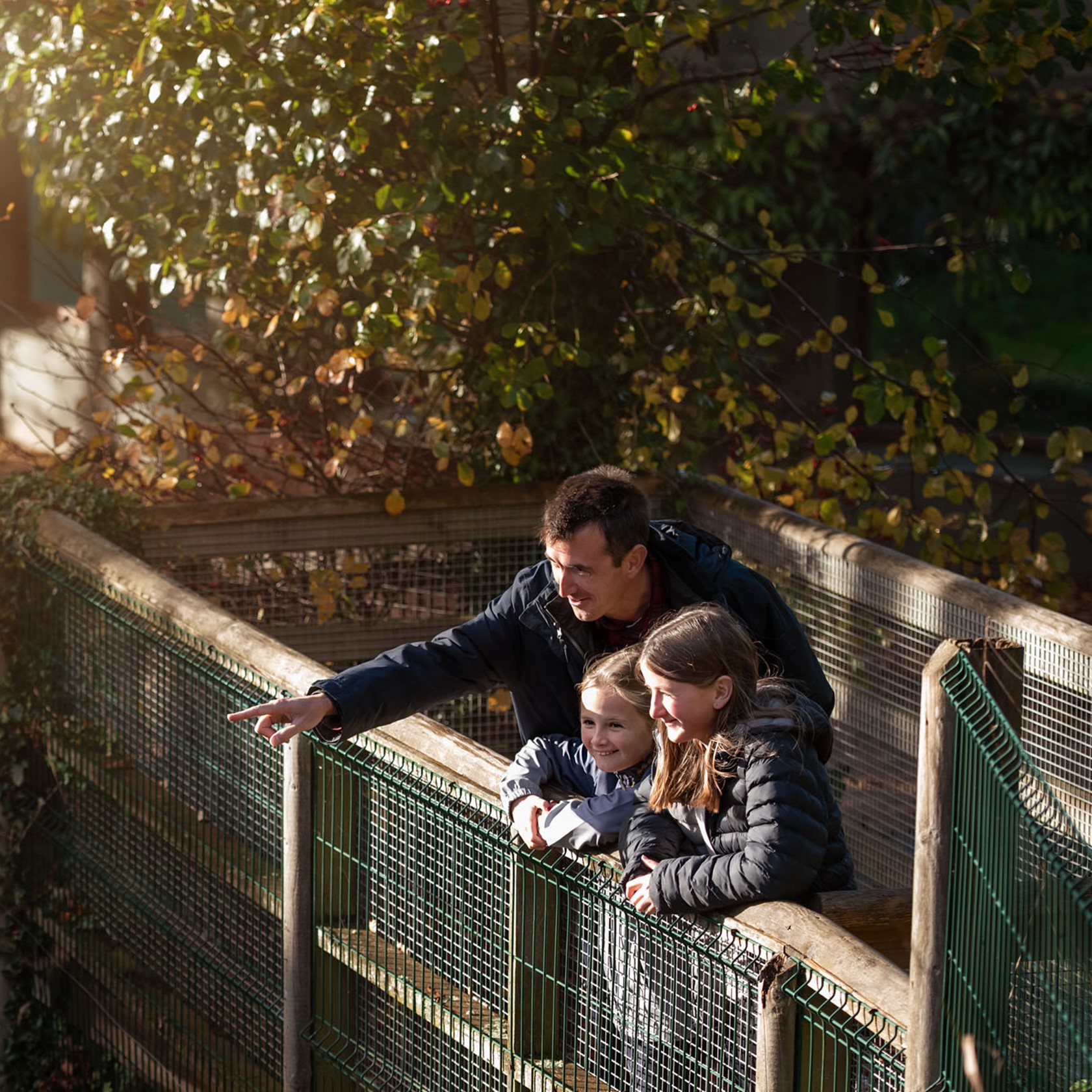 Father and two daughters observe animals at Jersey Zoo