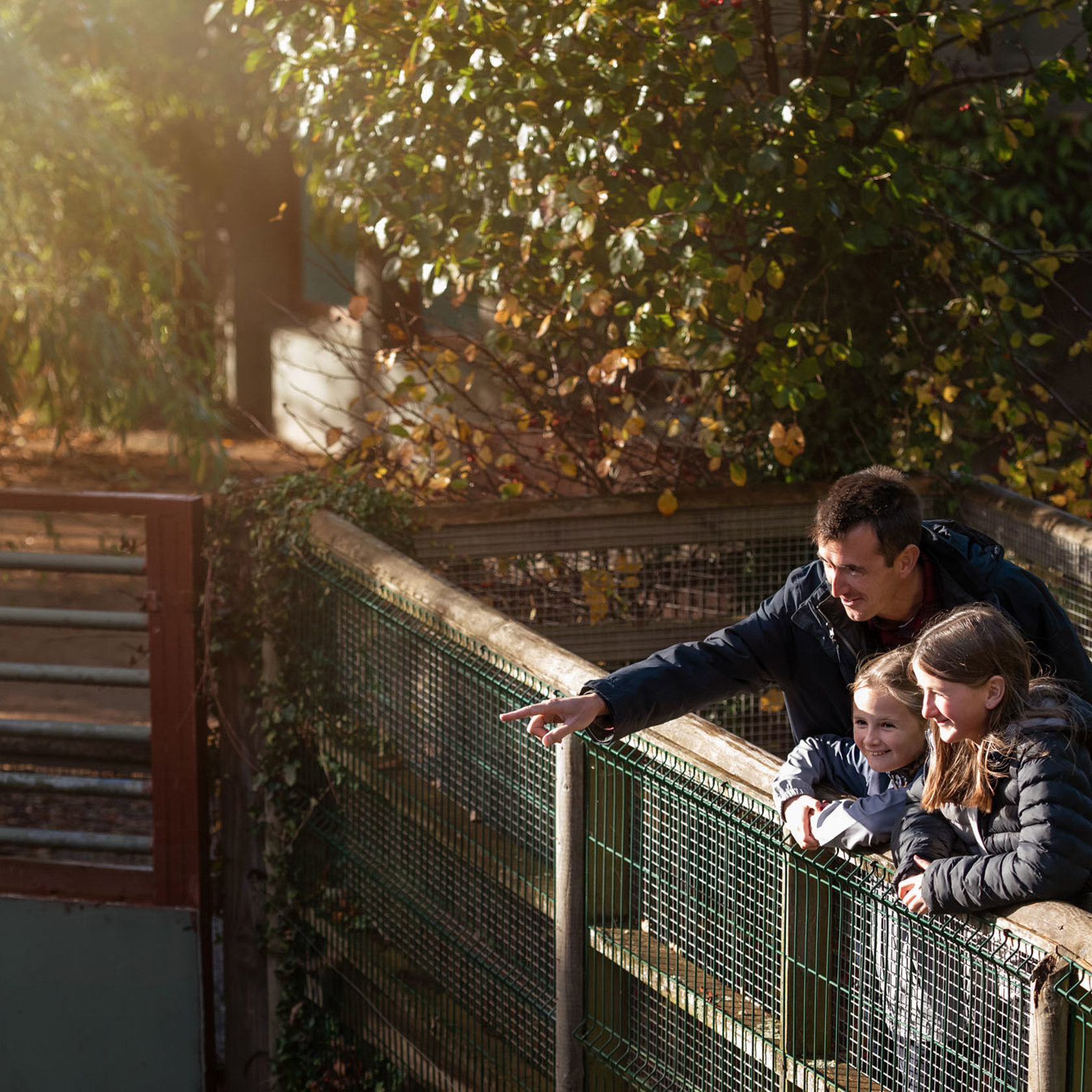 Father and two daughters observe animals at Jersey Zoo