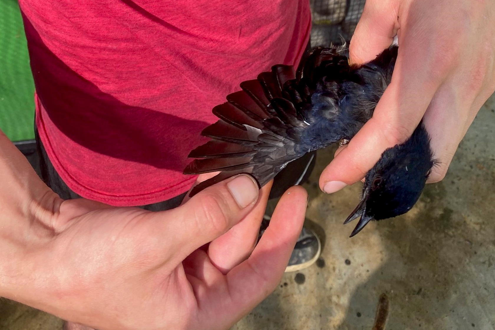 2093F21b 630D 46B8 919D 75882Ebefa52 2