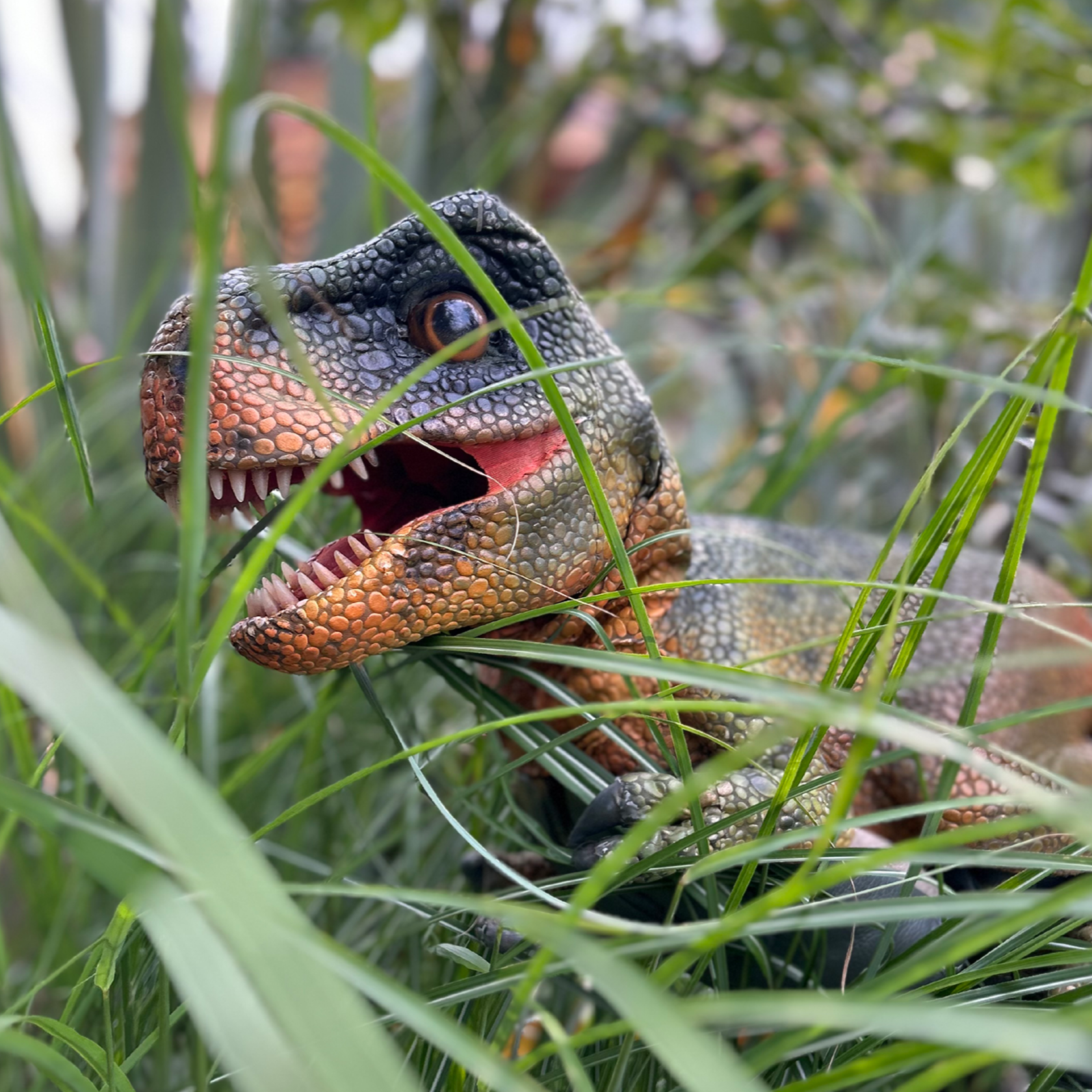 Dinosaurs 2026 Website Graphics 1333X1333 2