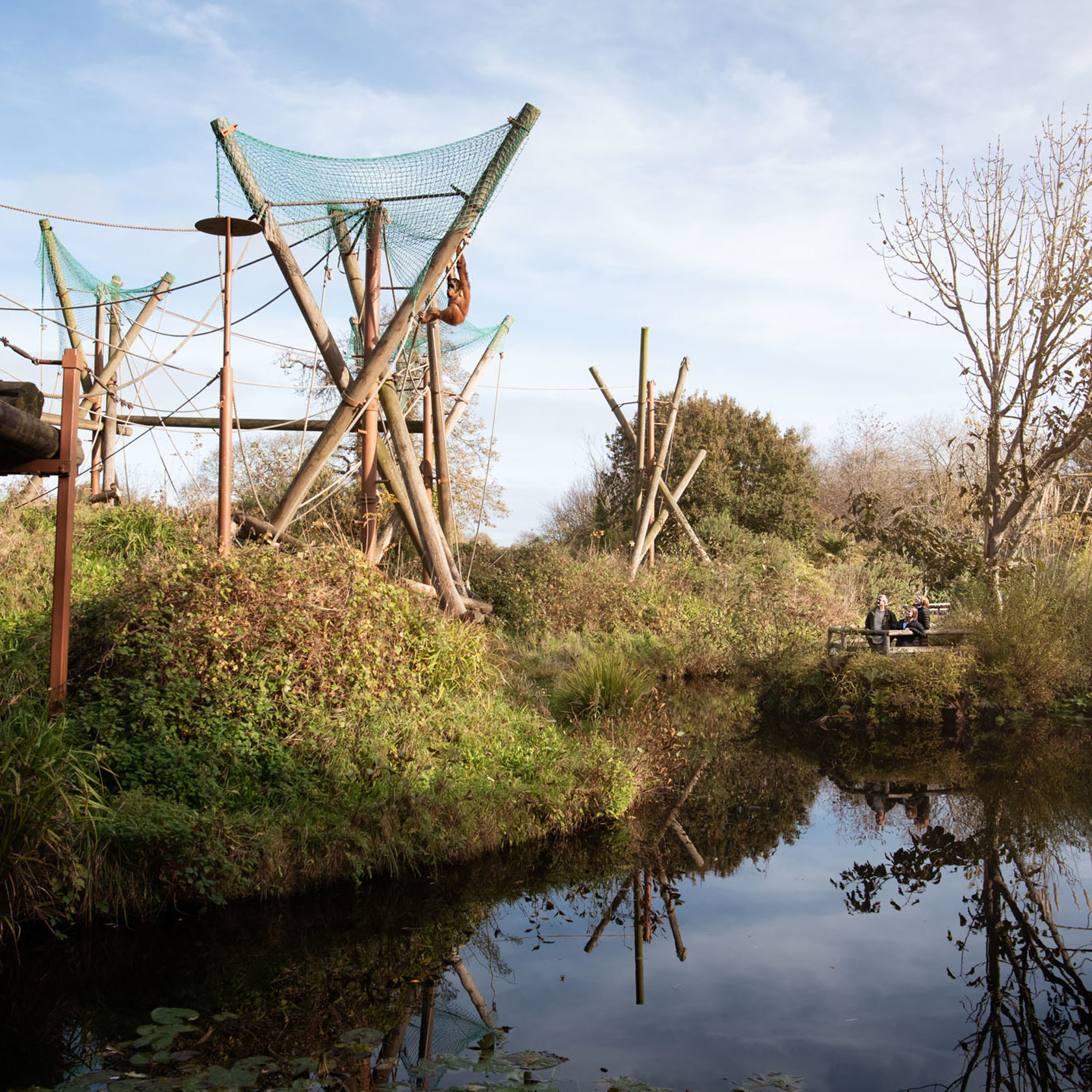 Zoo Visitors 2021 05