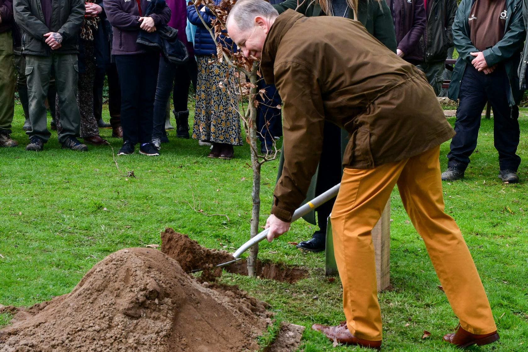 Queen'scanopytreeplanting4