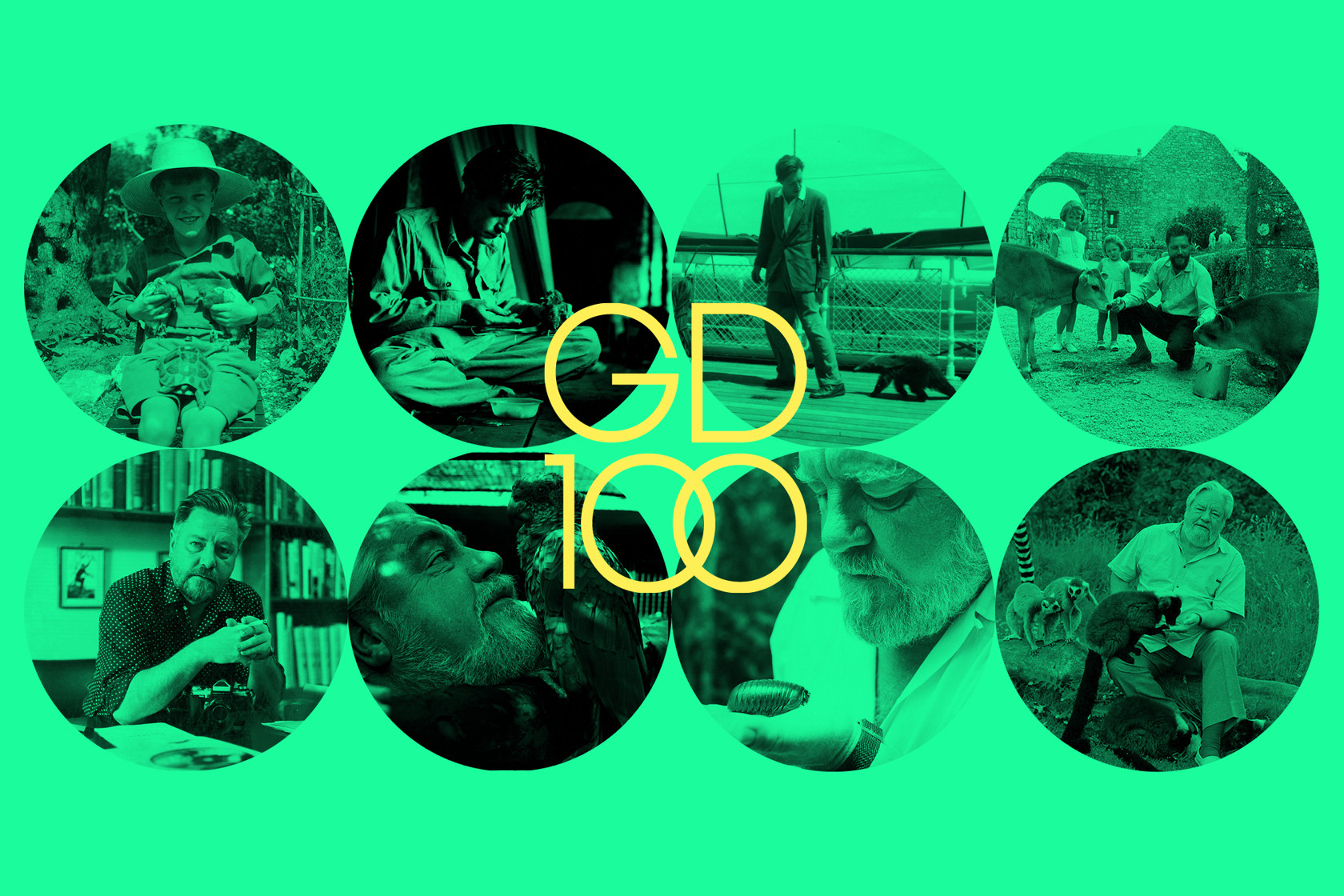 Visit Jersey Zoo | Durrell