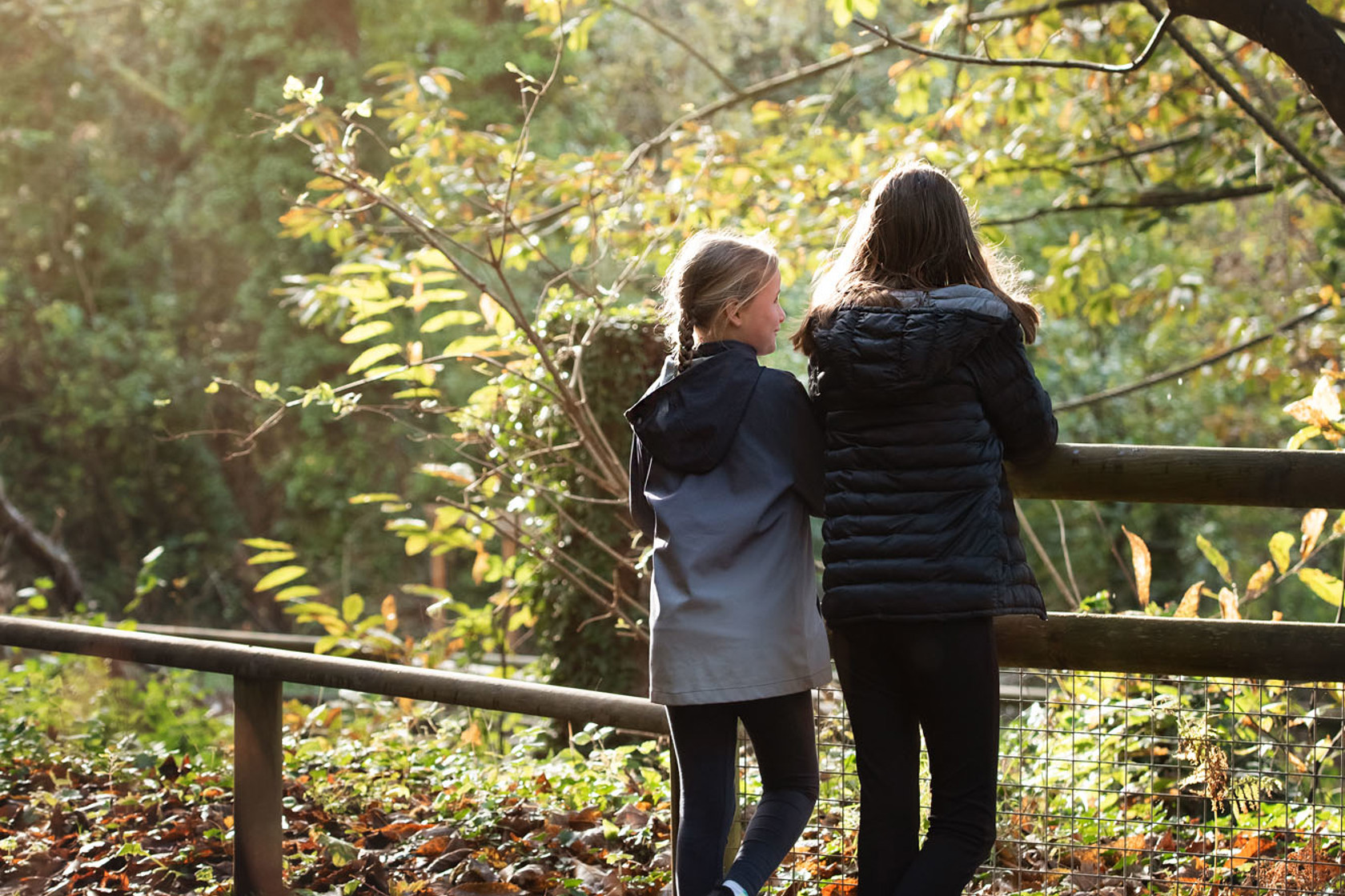 Zoo Visitors 2021 12