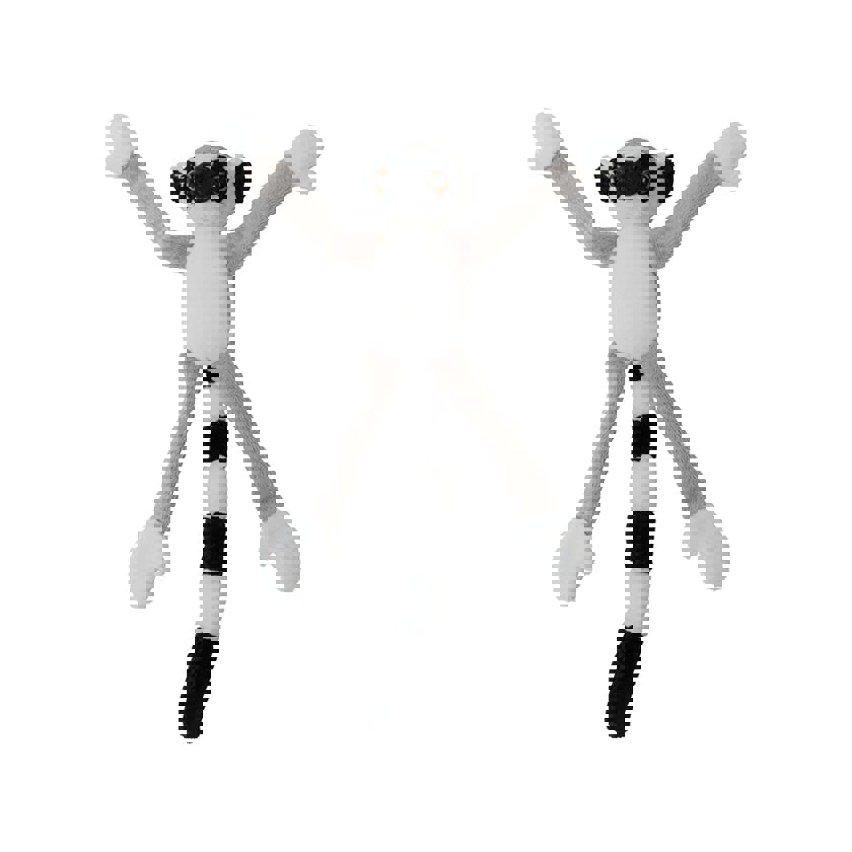 Magnet Ring Tailed Lemur