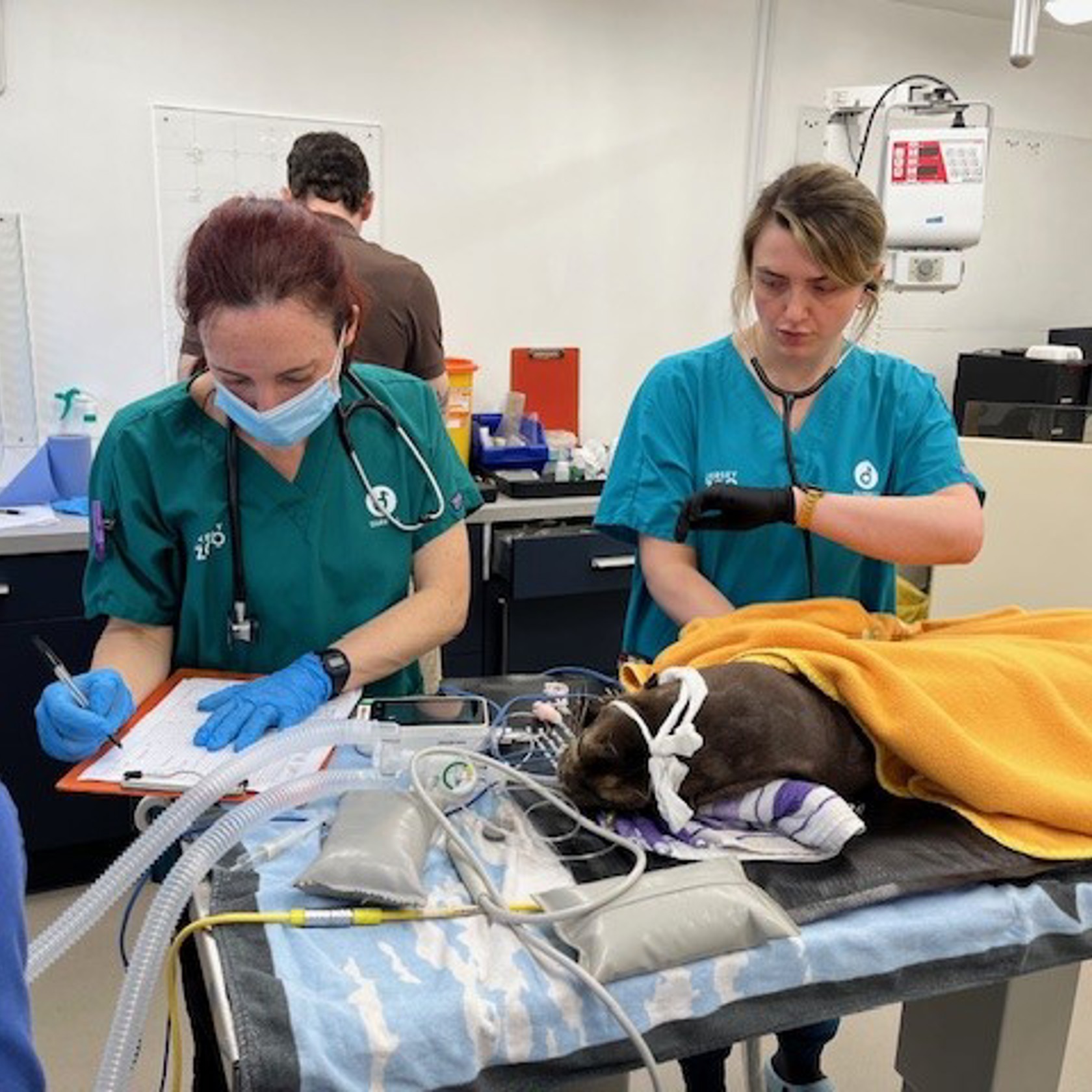 B611421b 37B9 4584 A43d Eaaf52b1a56b