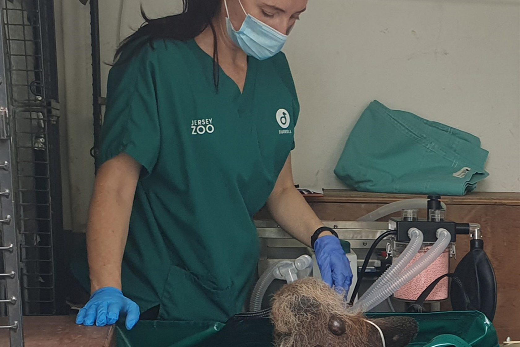 Theresa Dagu Landscape