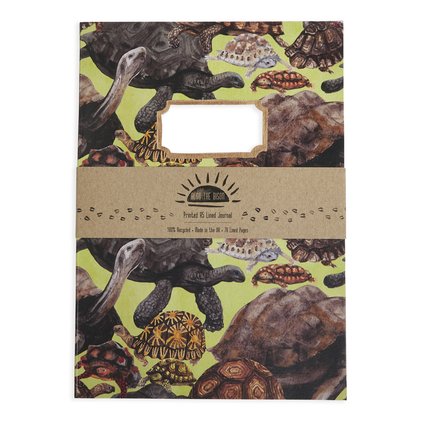 Creep of Tortoises Journal