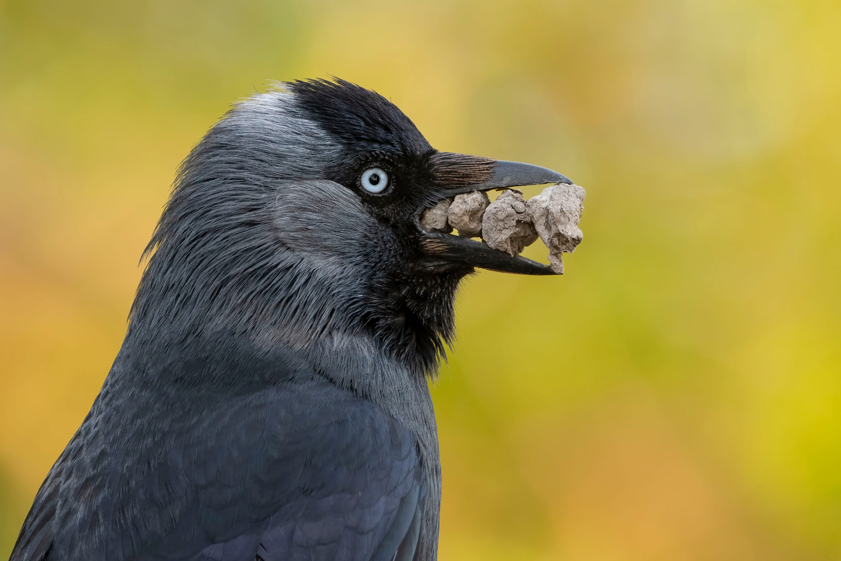 5465 WPY60 Website Image 2000X1333 AW 01 Ext