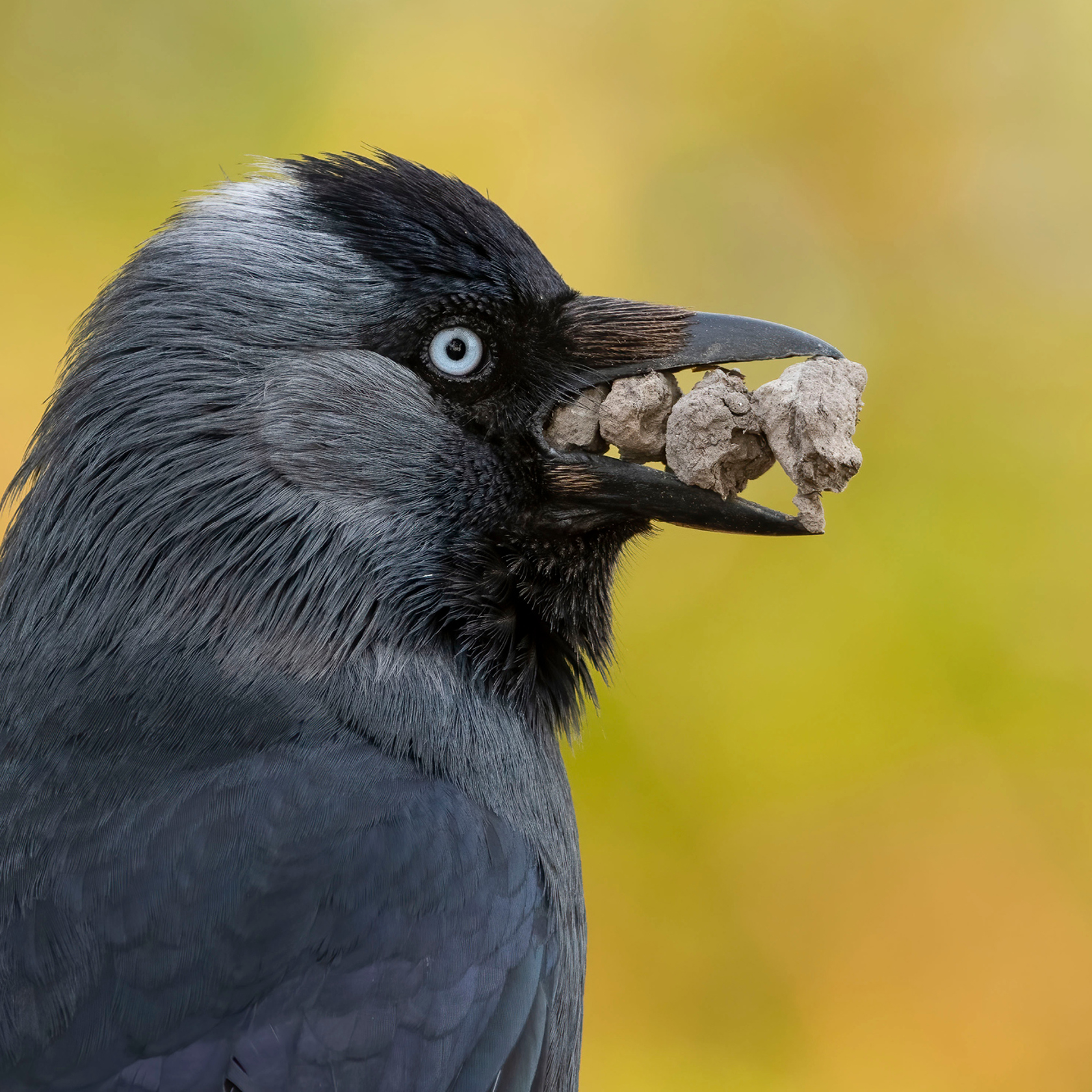 5465 WPY60 Website Image 2000X1333 AW 01 Ext