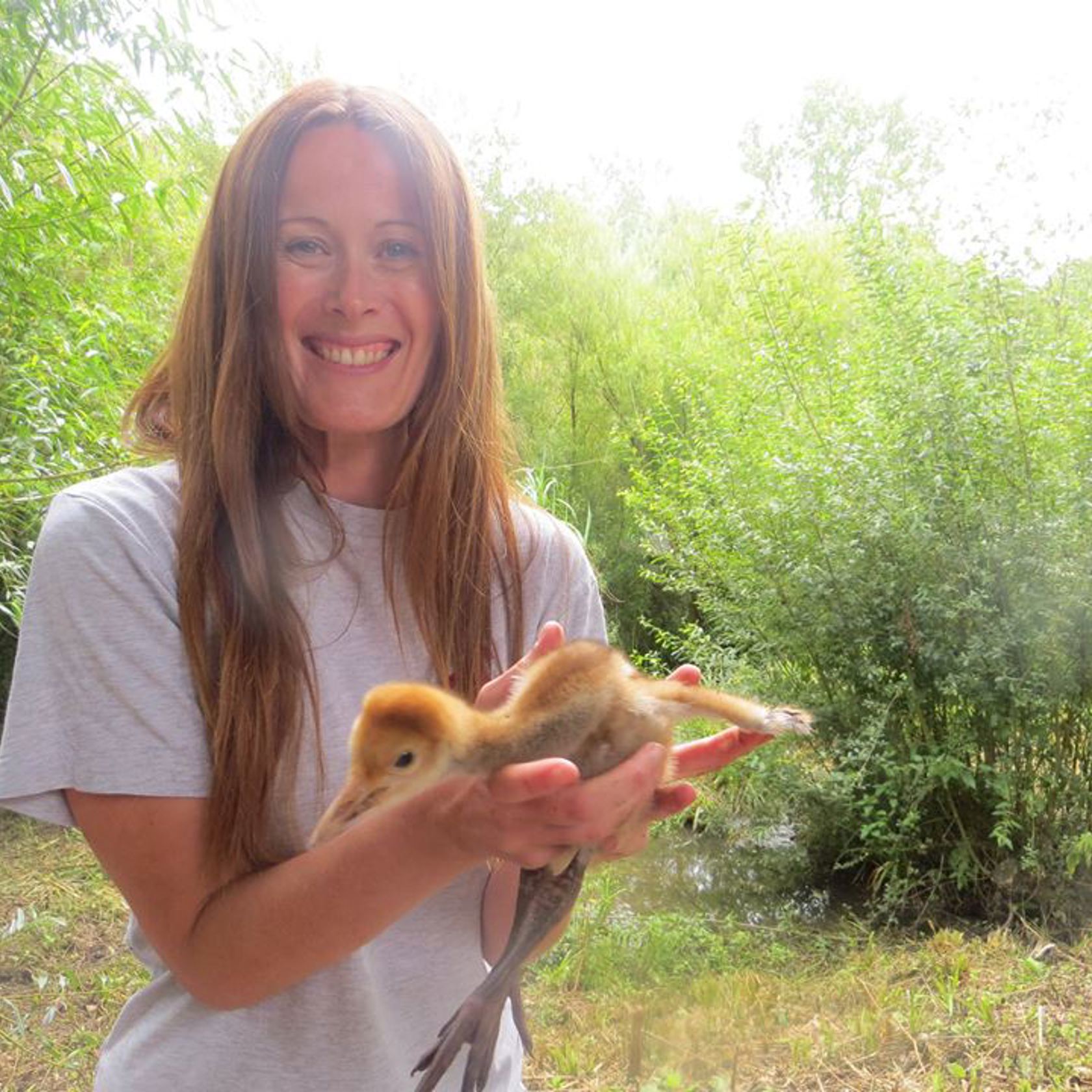 Harri With White Naped Crane Chick