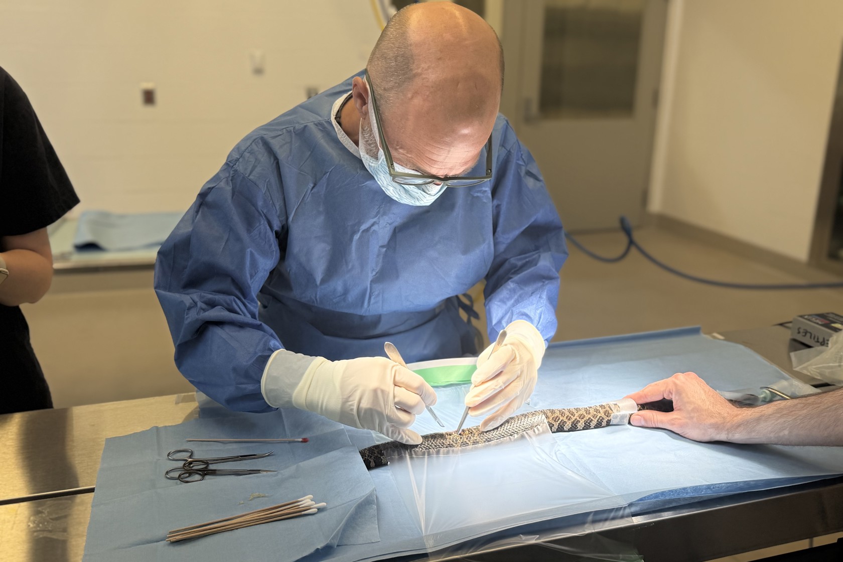 Umbraco.Cms.Core.Models.MediaWithCrops`1[Website.Models.Image]