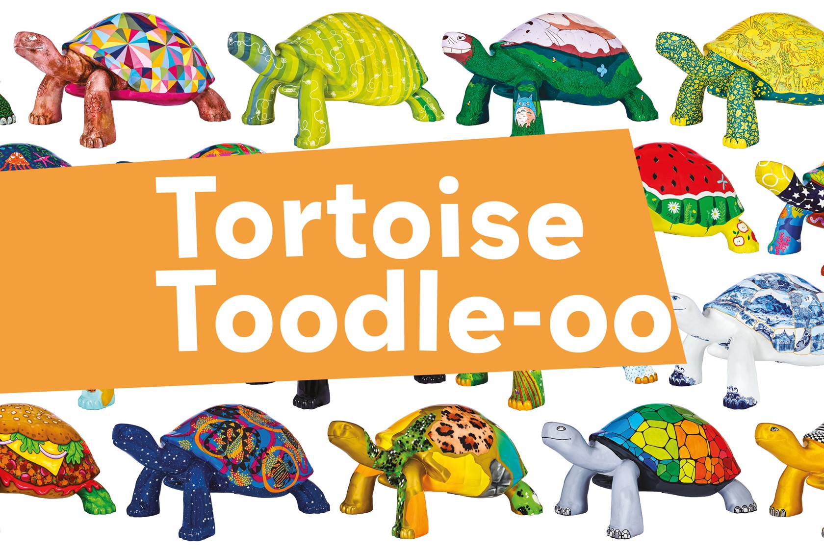 Tortoise Takeover Toodle Oo Website Event Graphic 2000 X 1333 AW