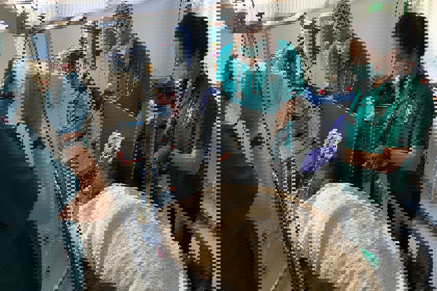 X Ray Of The Skull Being Taken