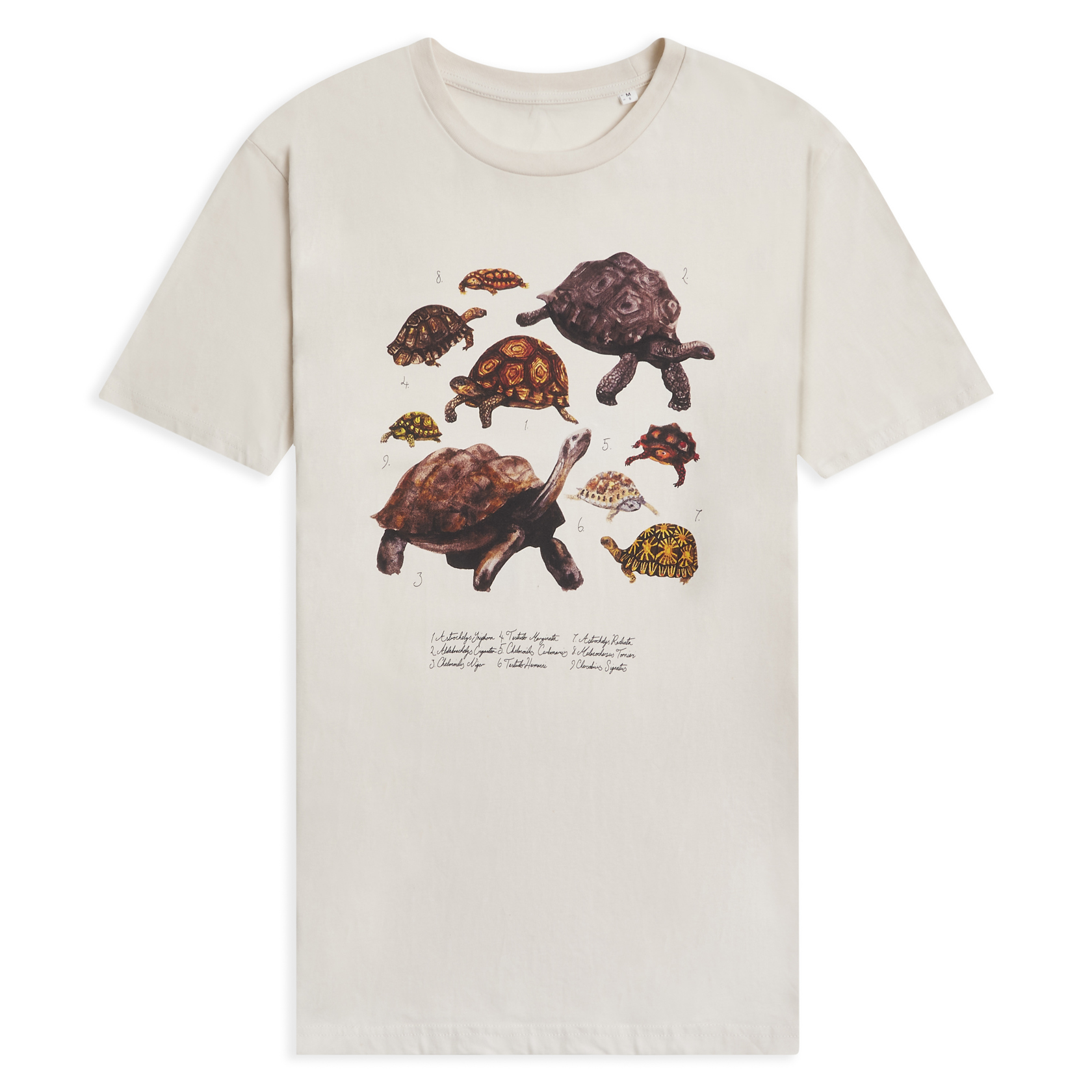 Creep of Tortoises T-Shirt