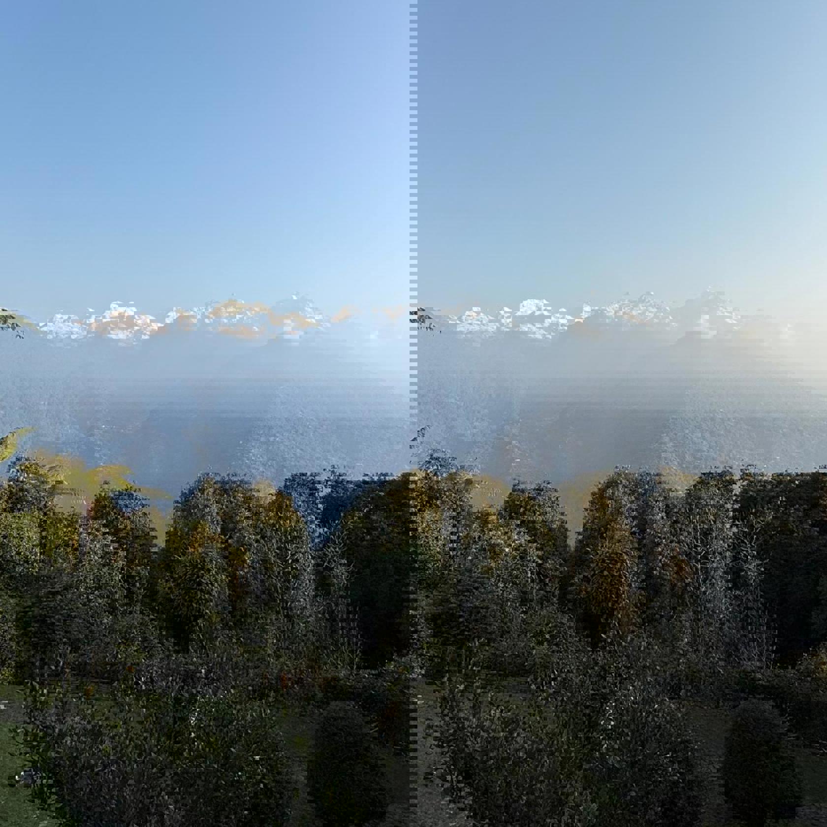 Founder's Trek Julia Photos 3