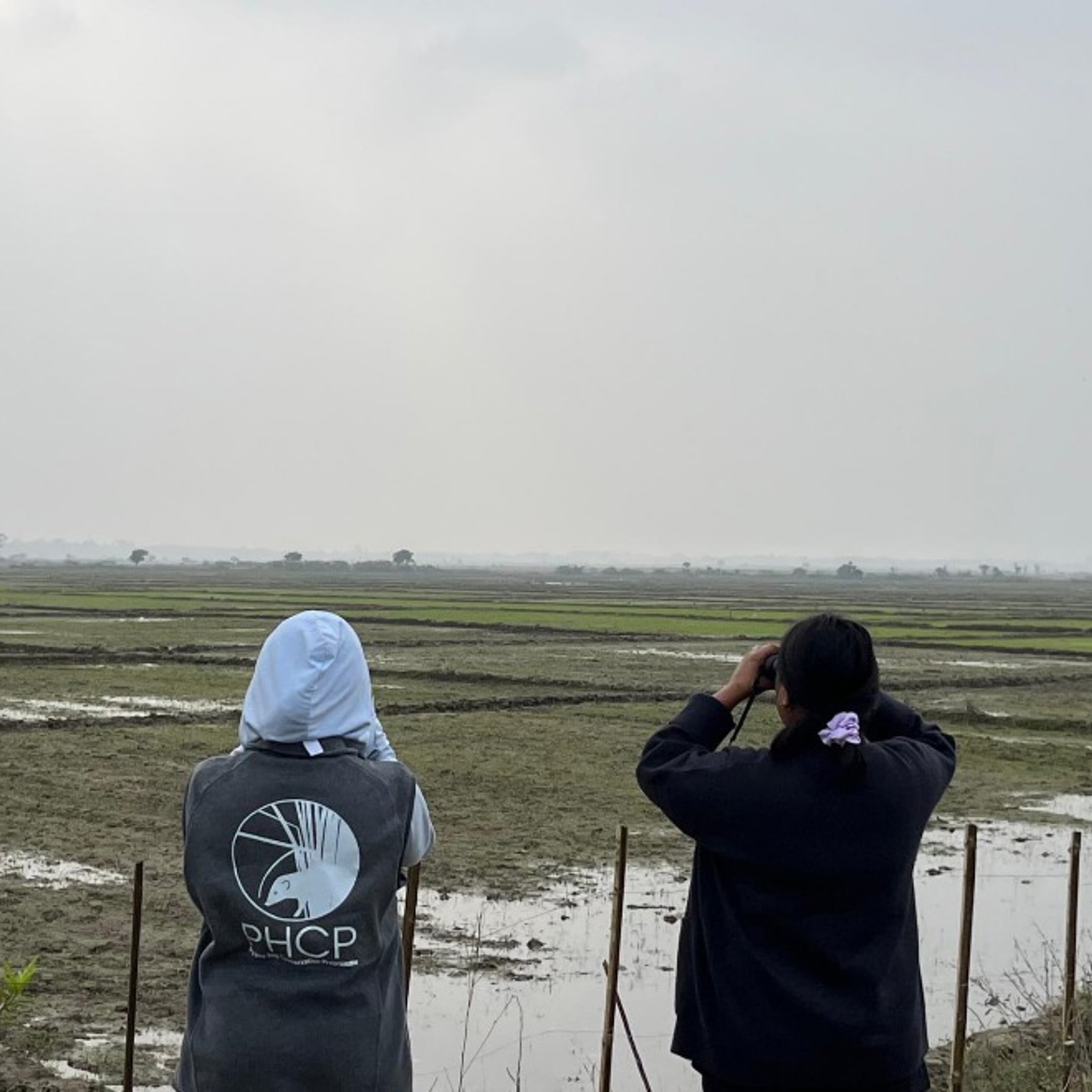 Looking For Bengal Florican At Kokilabari Agicultural Farm