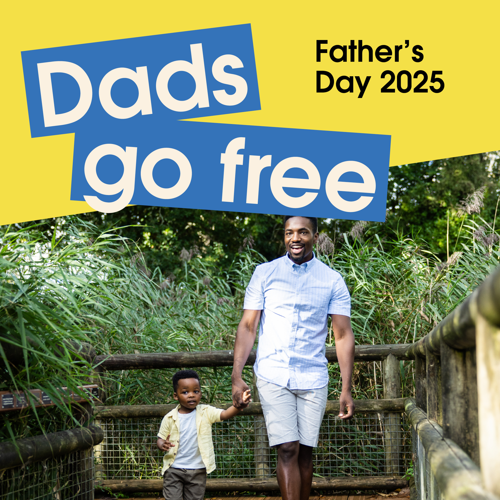 5595 Fathers Day Offer Website Graphics 2000 X 2000