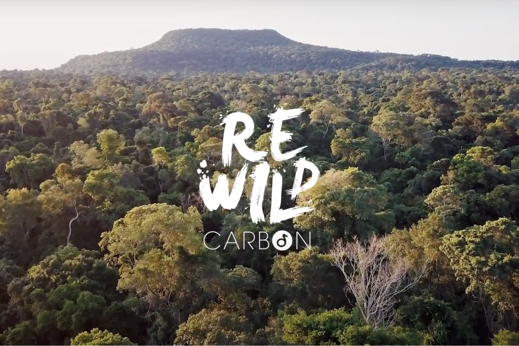 Rewildcarbonvideo