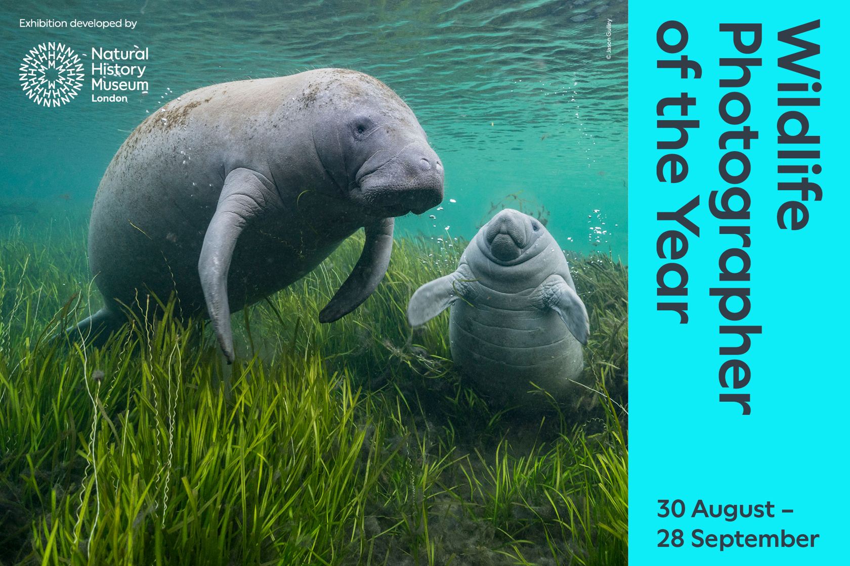 5465 WPY60 Website Image 2000X1333 AW 02 Int