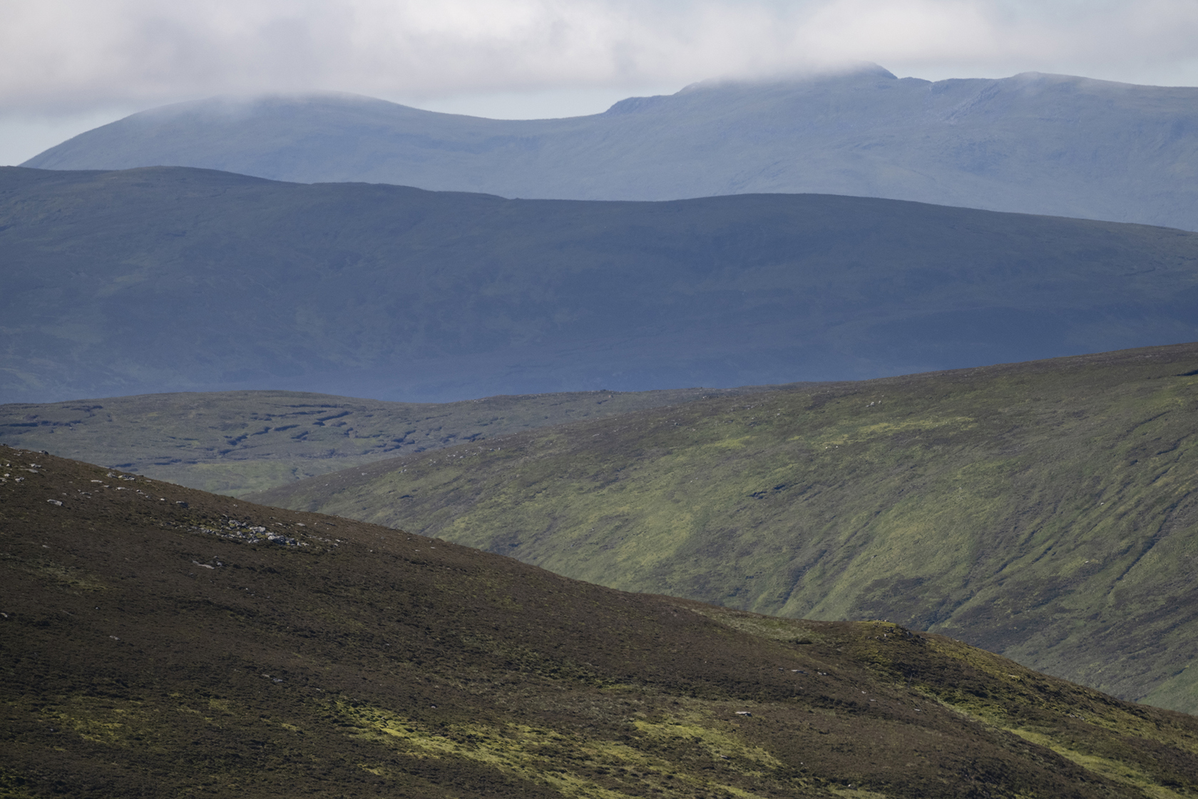 Dalnacardoch053