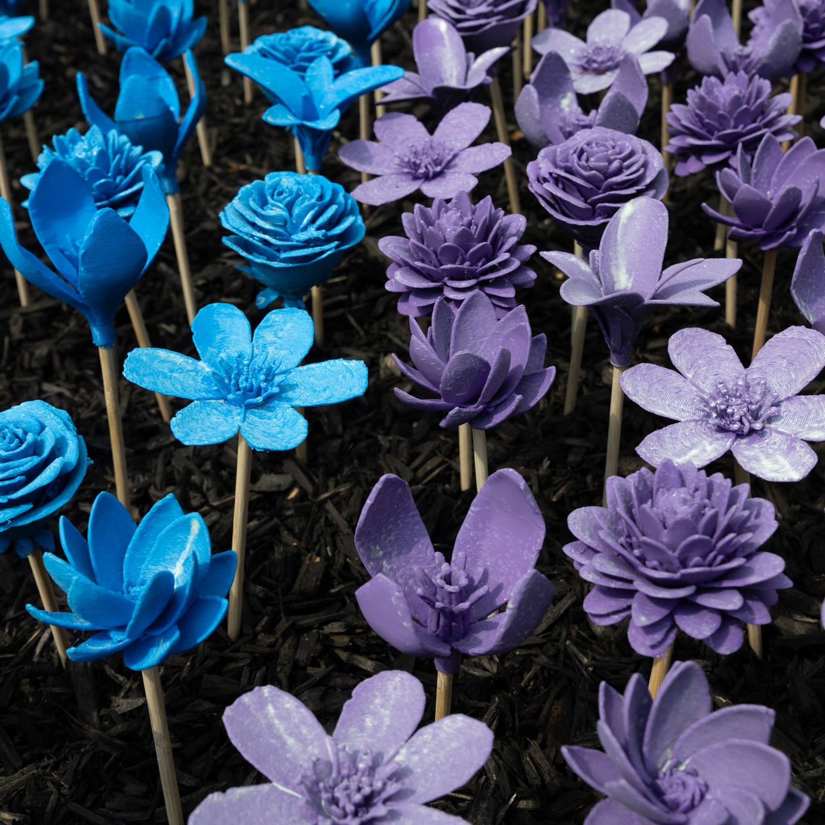 Bloom 2025 Credit Glen Perotte 19