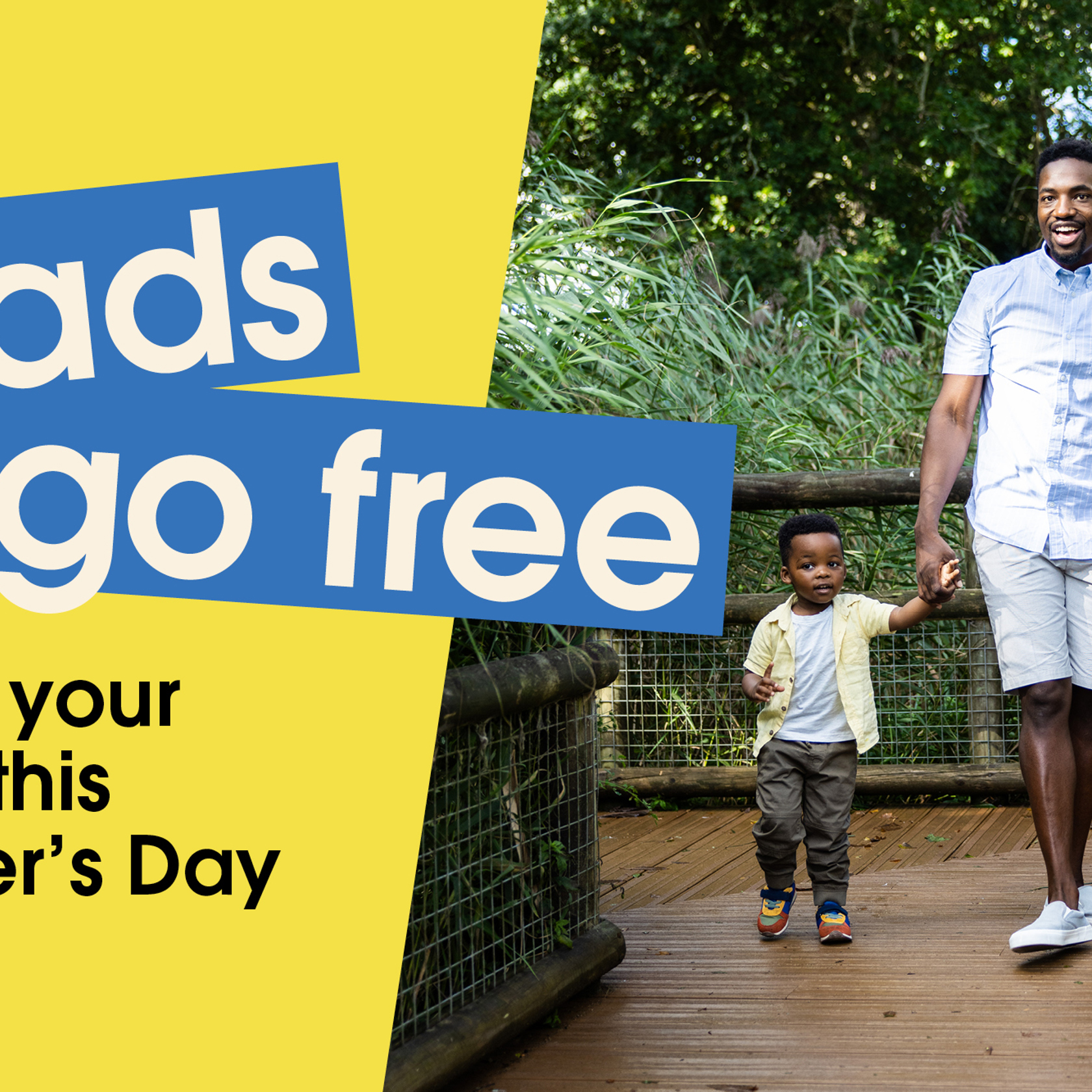 Fathers Day 2026 Offer Website Graphics 2000X1333