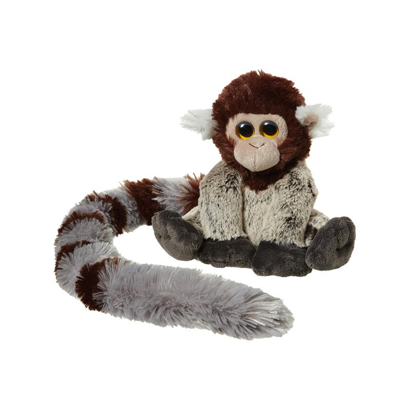 Long Tail Marmoset 06215