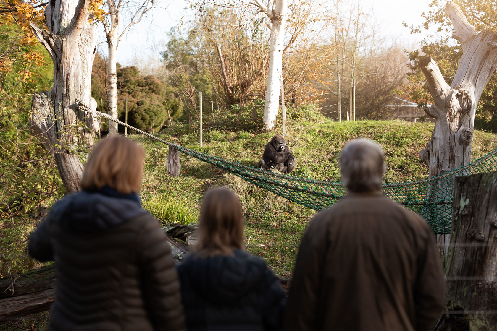 Visit Jersey Zoo | Durrell