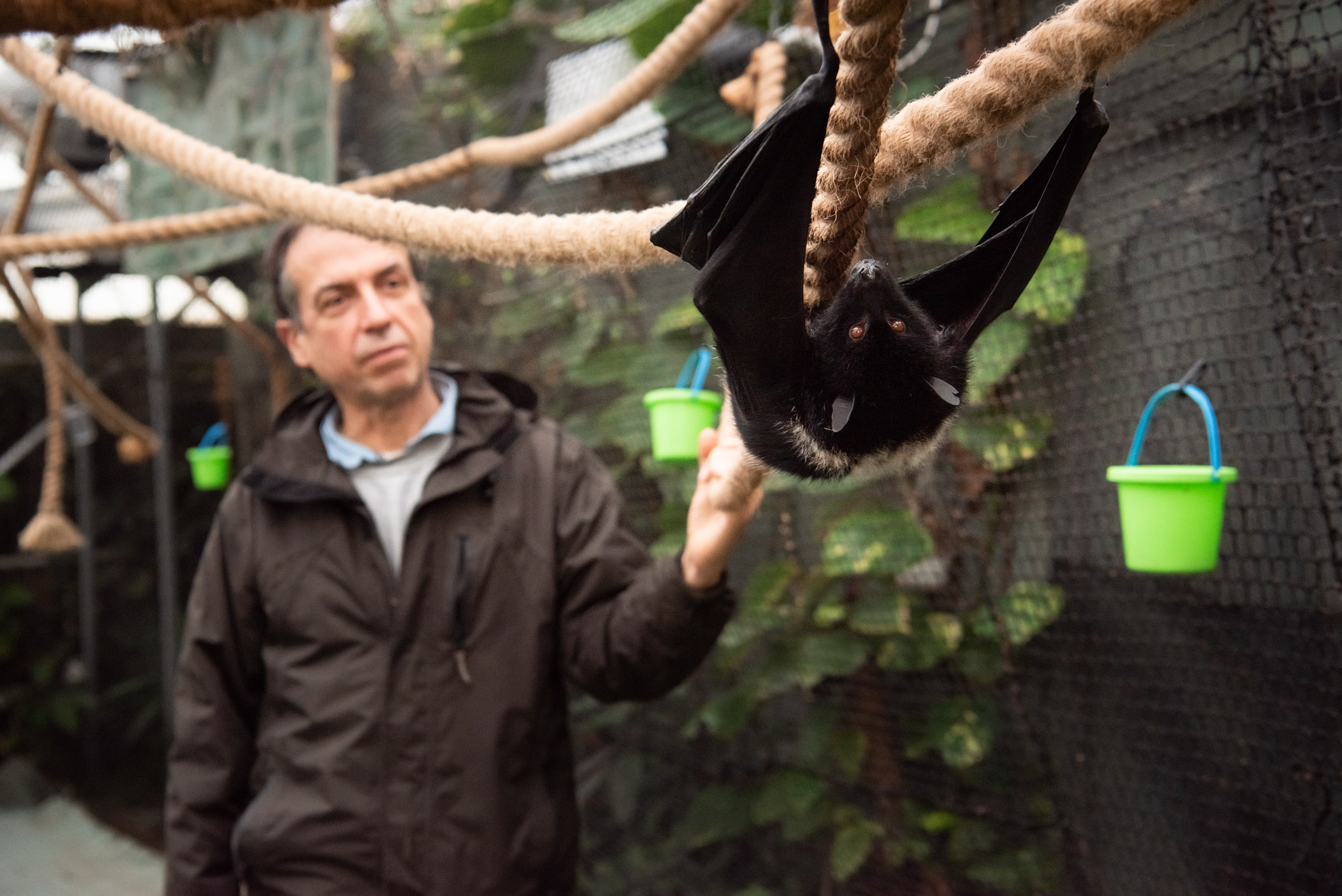 Animal experiences at Jersey Zoo Durrell