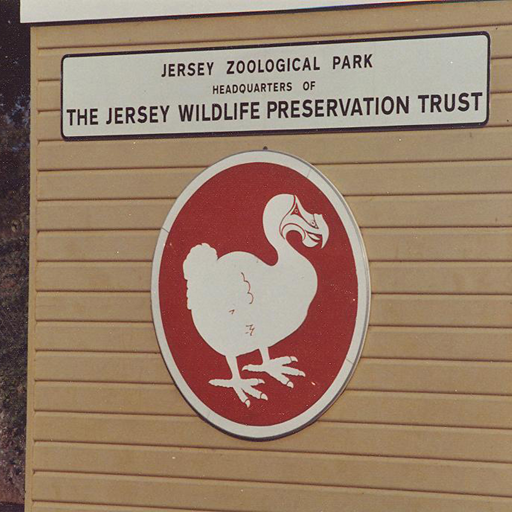 26. Early Jersey Zoo Entrance Building With Dodo Sign