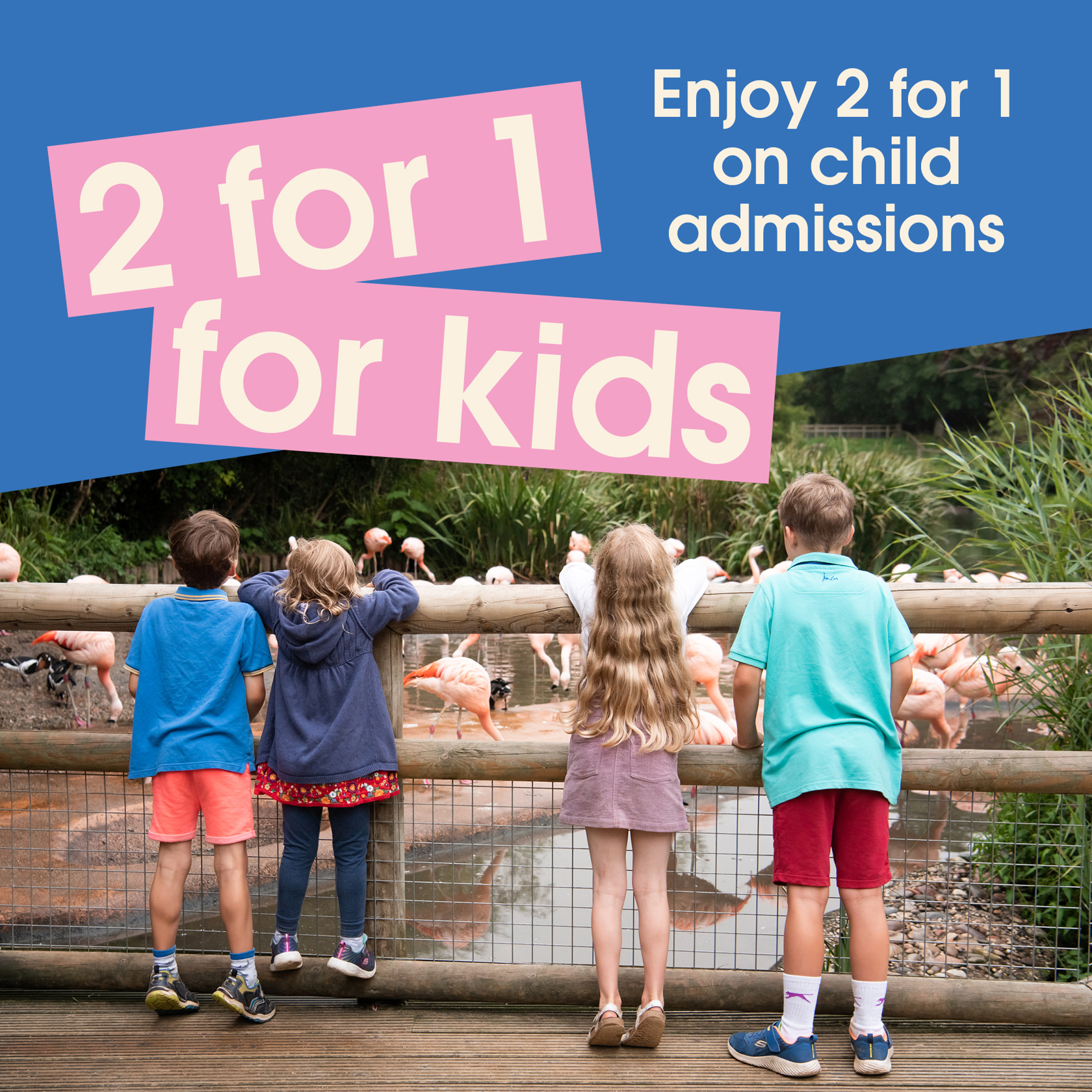 2 For 1 Child Admission 2026 Offer Website Graphics 2000X2000