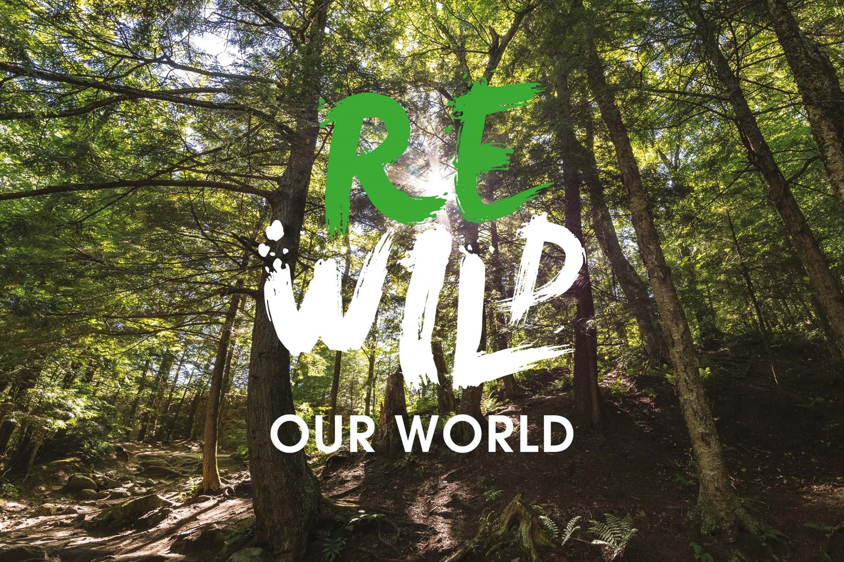 Rewild Our World