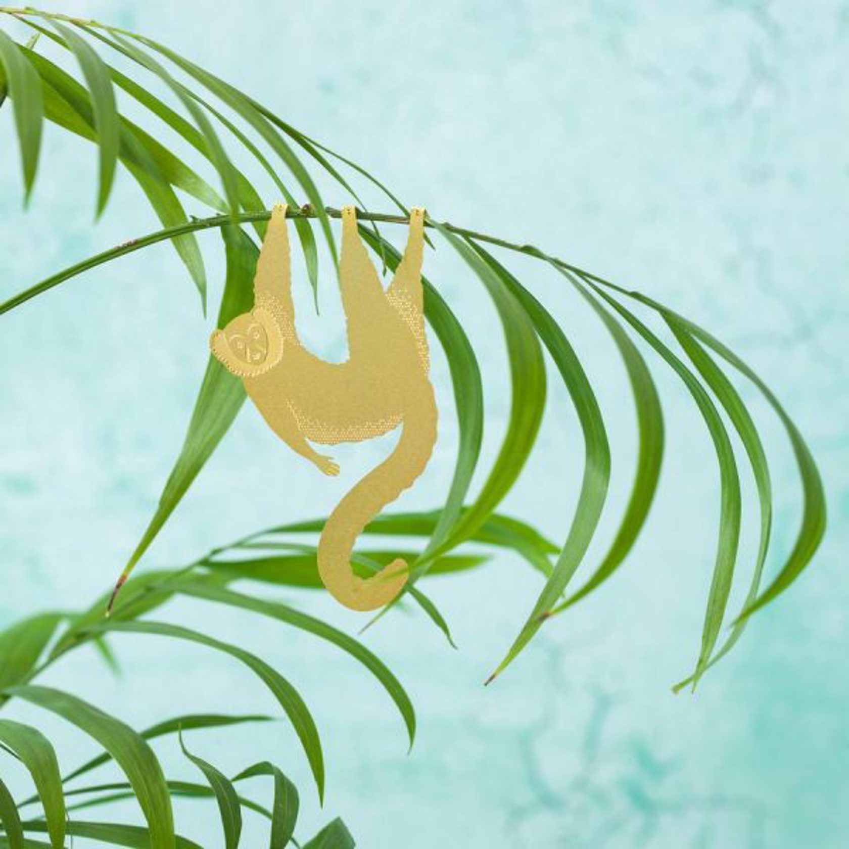 Lemur Plant Animal