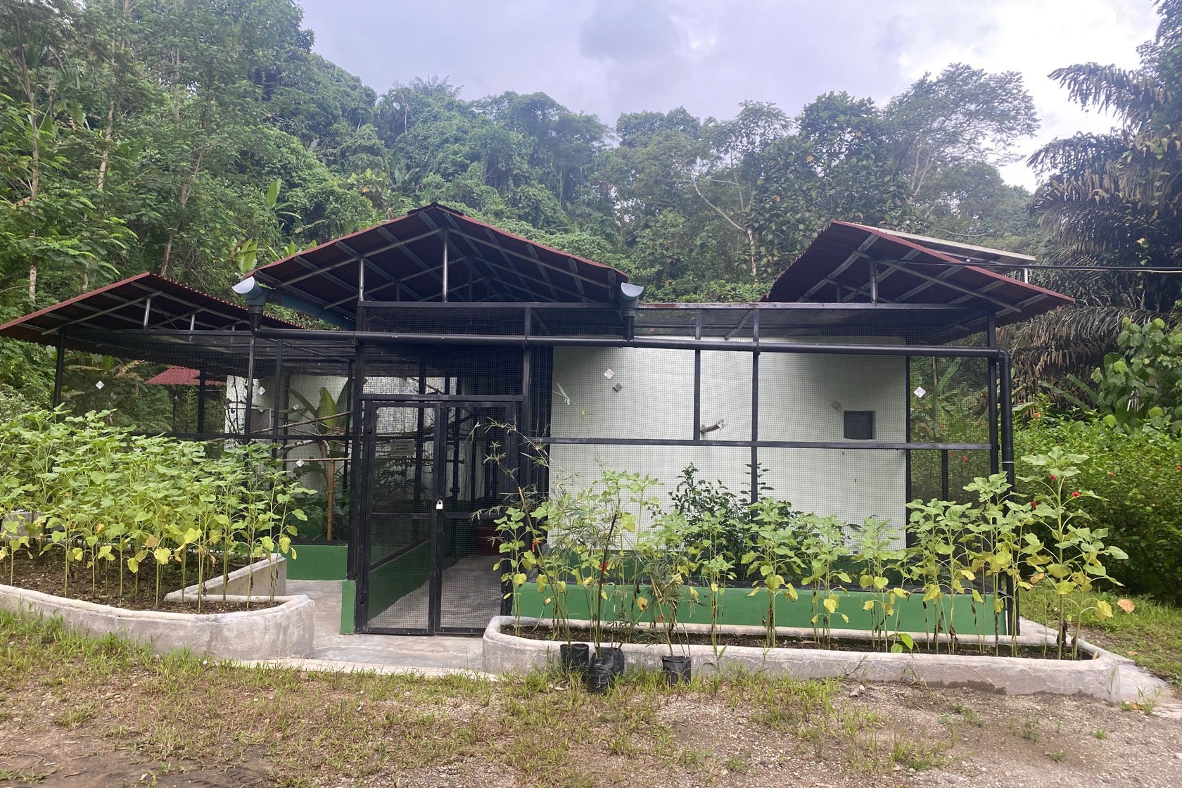 4Cfd8aa9 4C22 4F8f 8F06 Faf19f45b59f