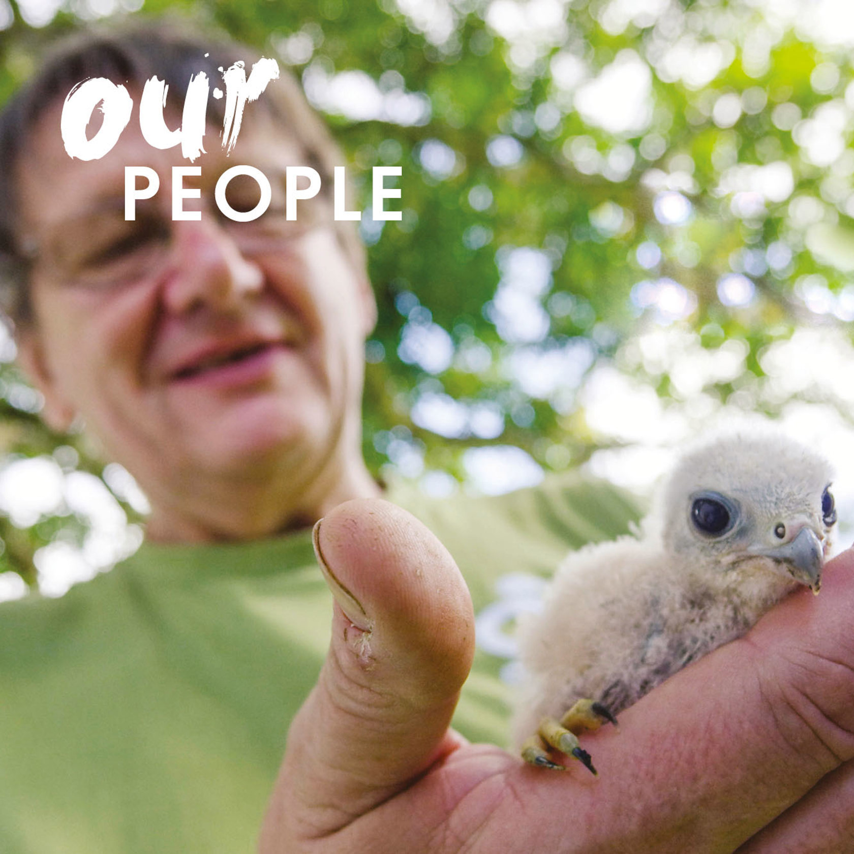 Our People