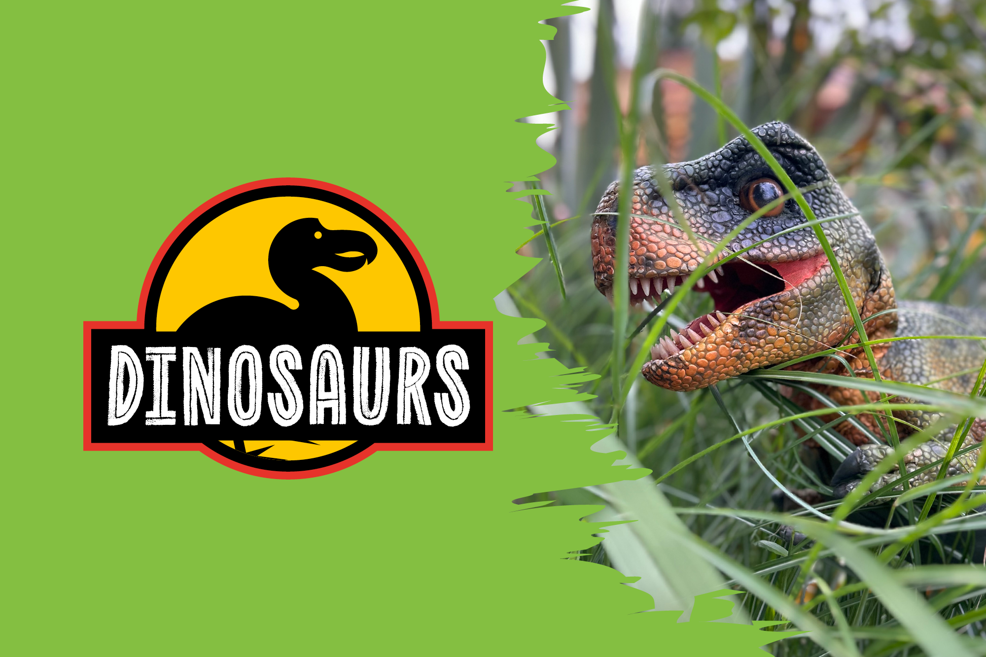 Umbraco.Cms.Core.Models.MediaWithCrops`1[Website.Models.Image]