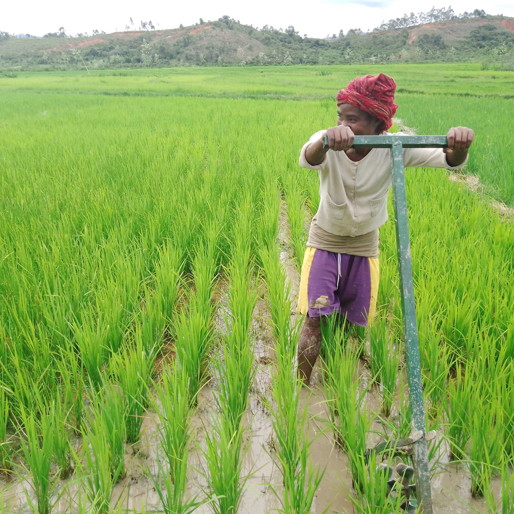 Durrell VALIHA Rice (1)