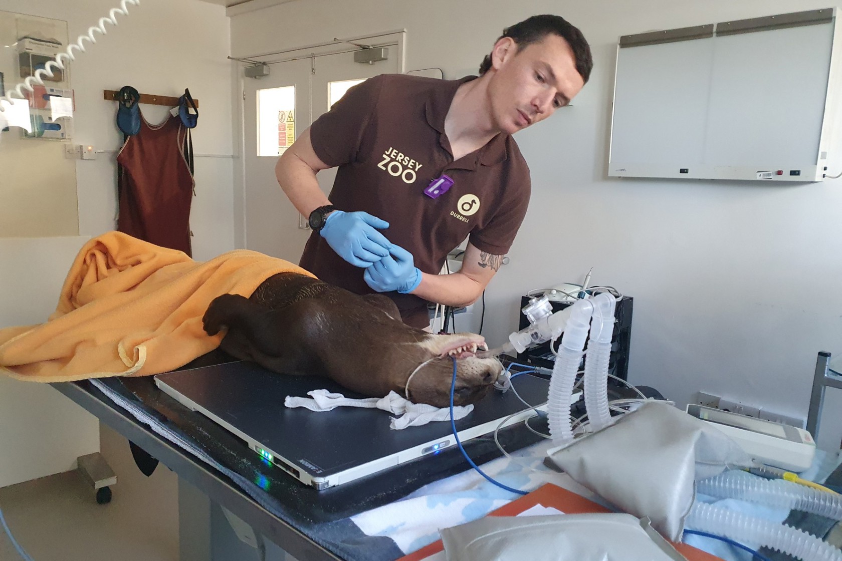 Umbraco.Cms.Core.Models.MediaWithCrops`1[Website.Models.Image]