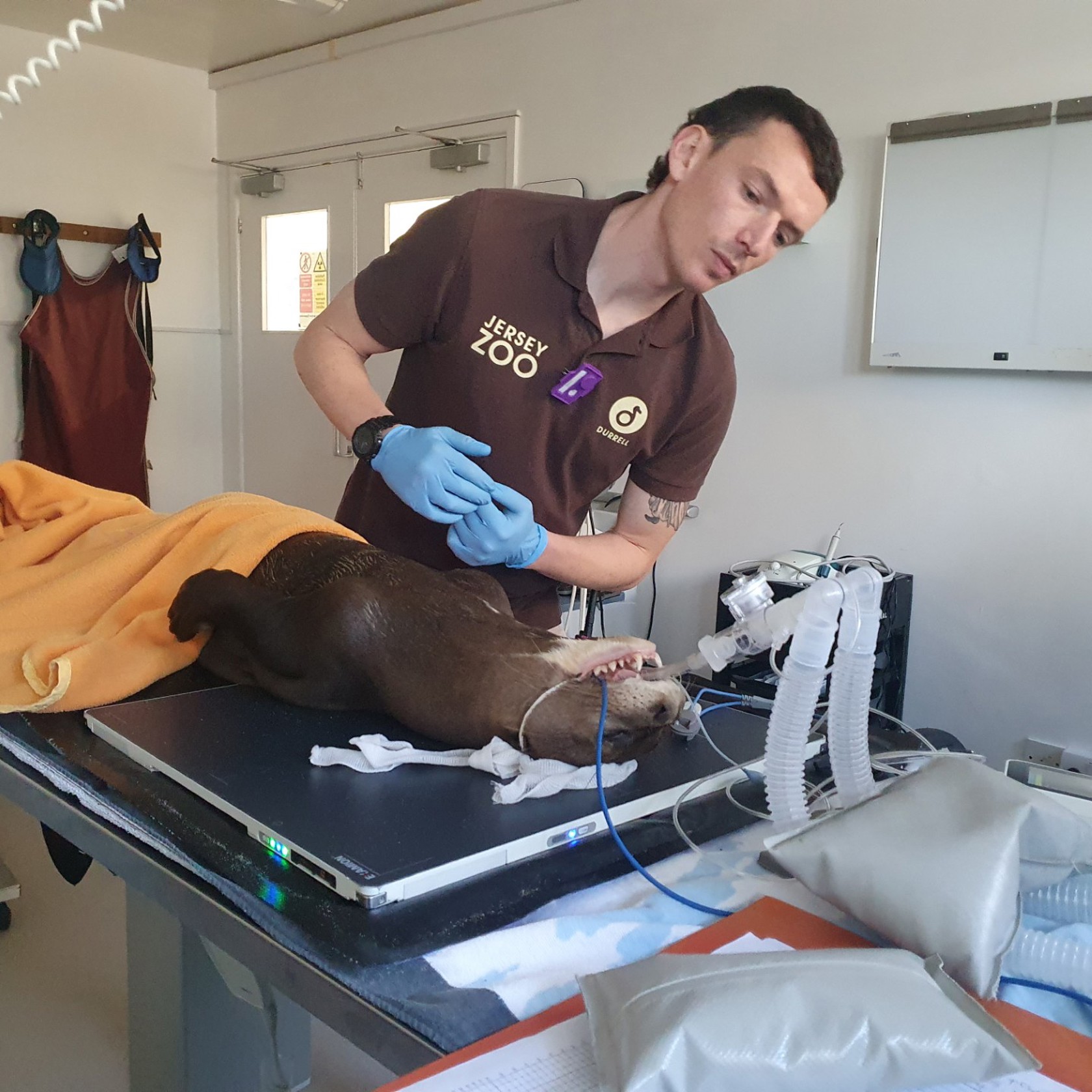 36Ae48ab 4Cc7 4A2a Bf3c Bc47b2166f79