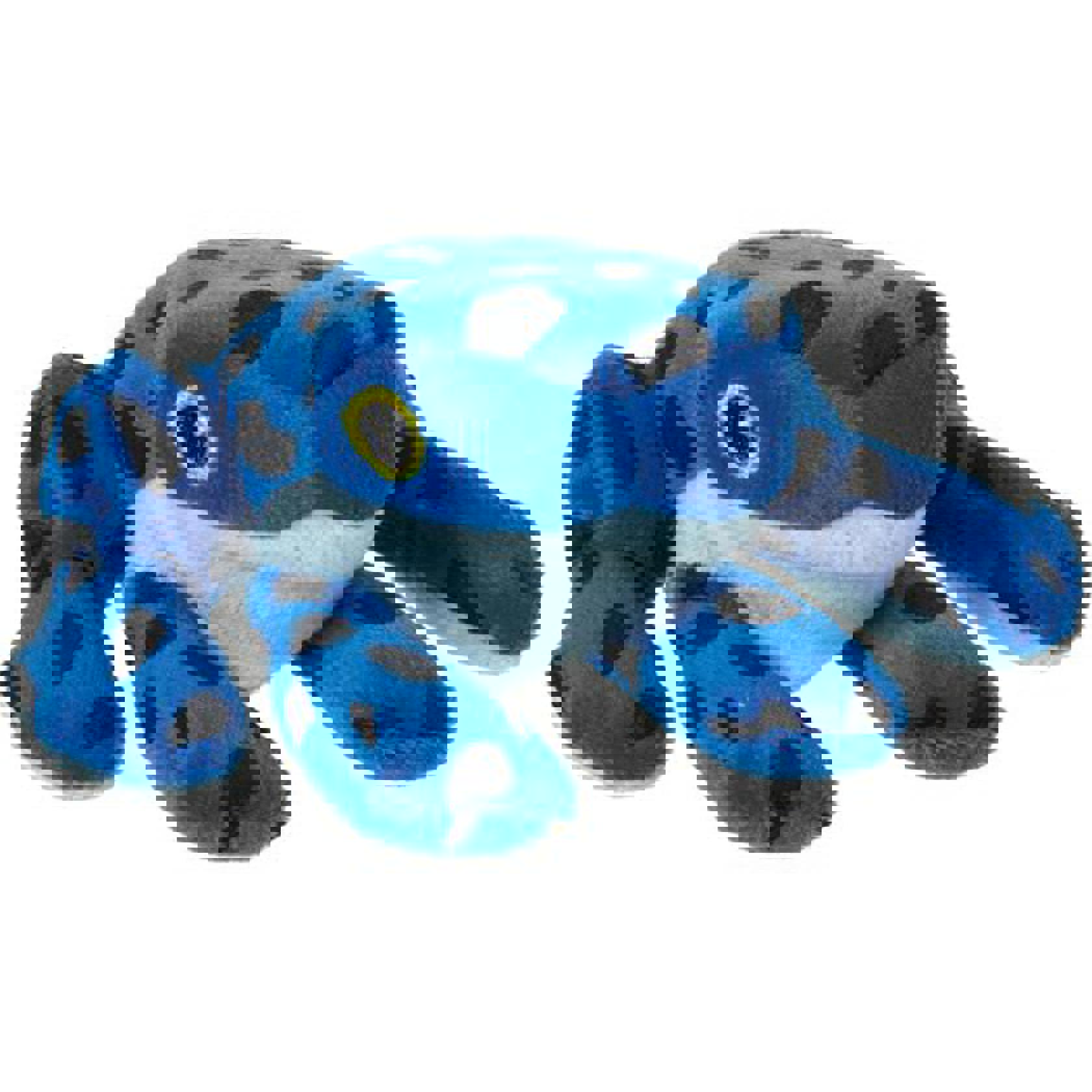 Wild Beans Blue Frog