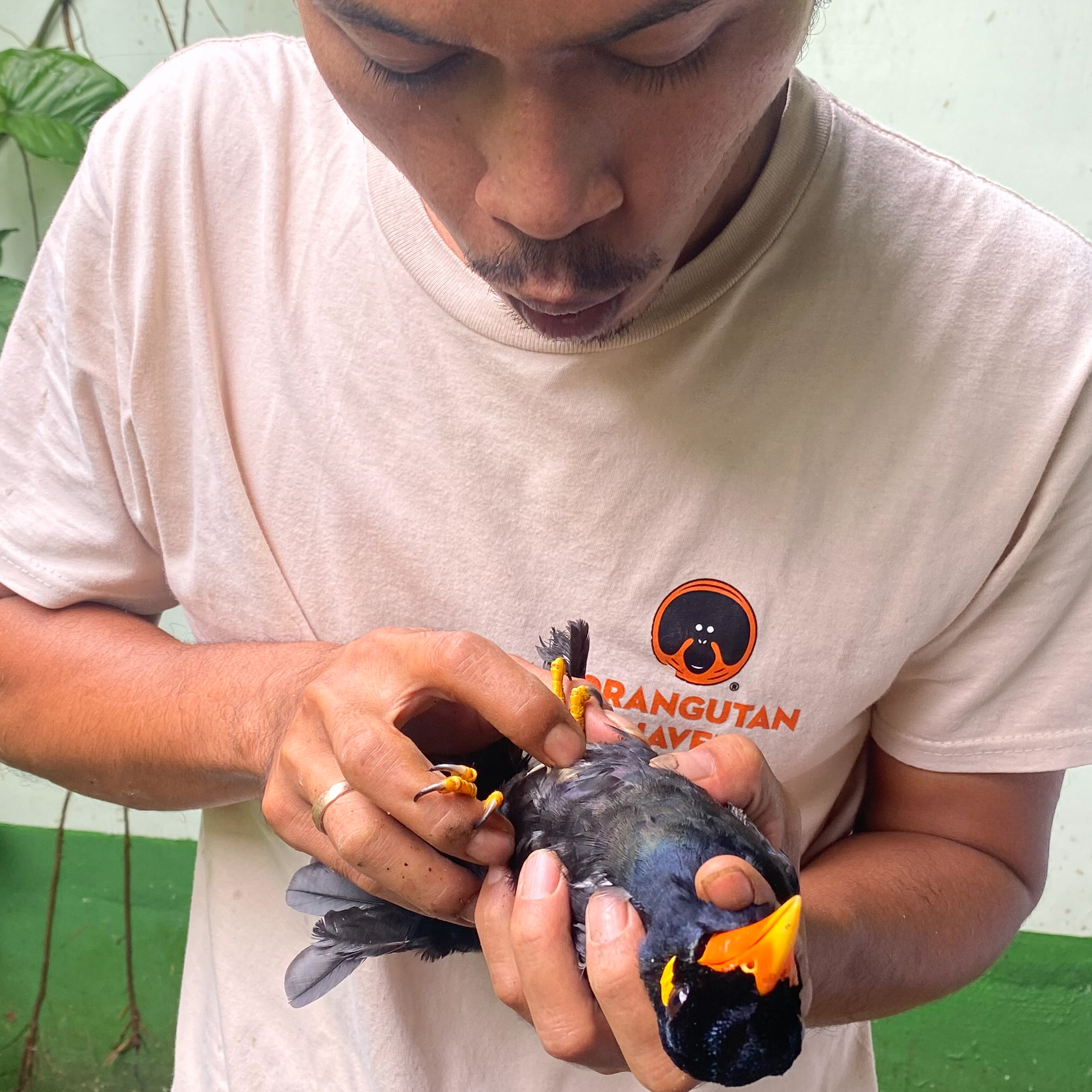 Sam Sumatra Dec 2024 Ft Jaya Parulian