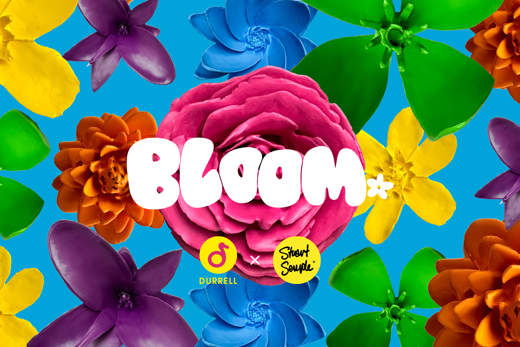 Bloom Website Image 2000X1333