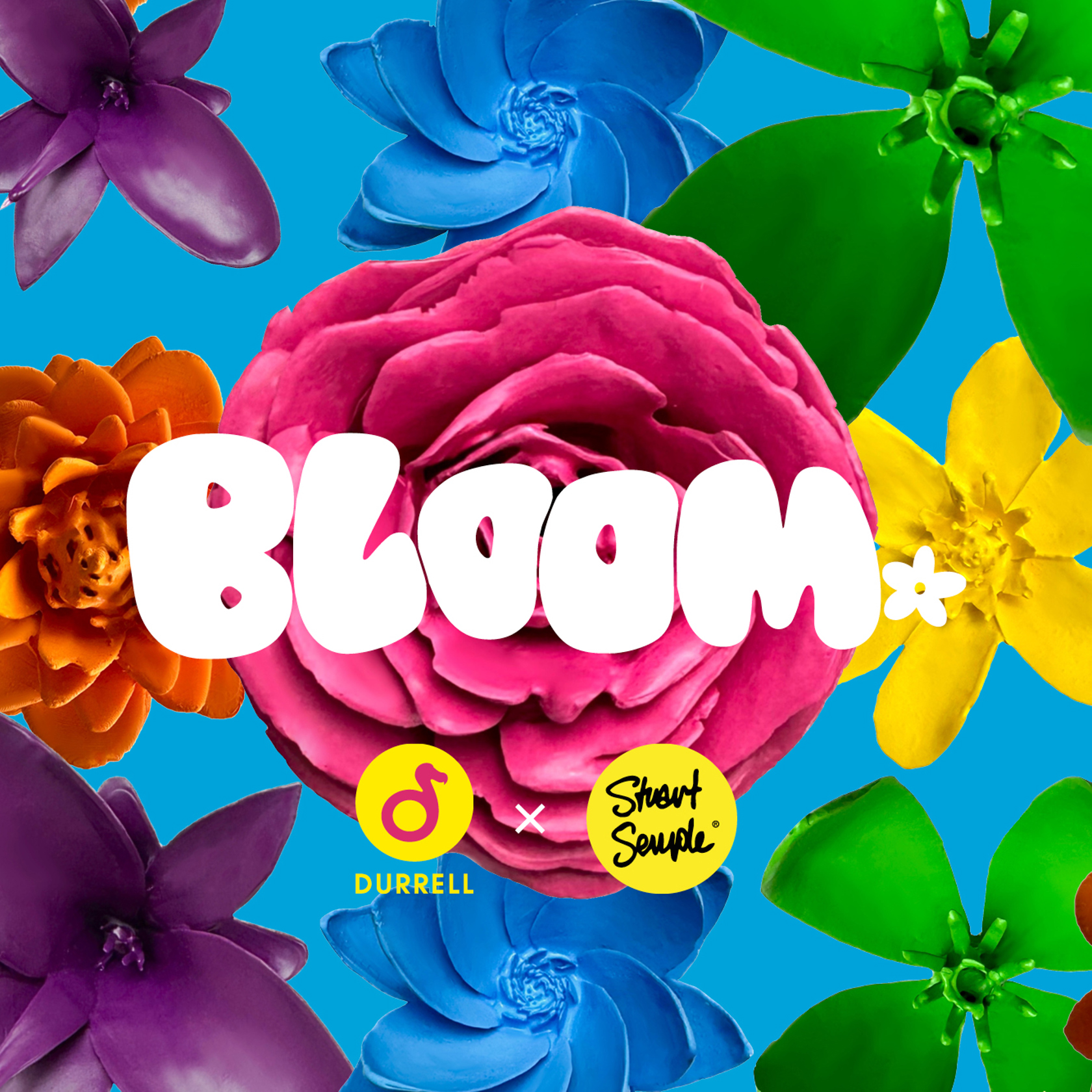 Bloom Website Image 2000X1333